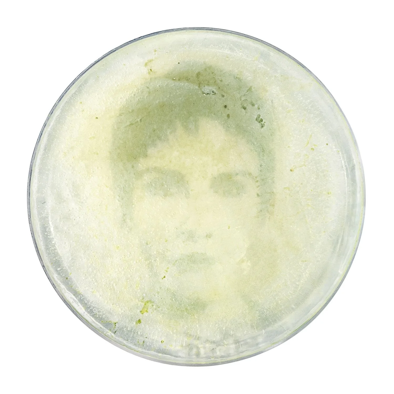 2 - 2_narciso  - 52ea0dbd-9f0e-4242-888a-2bbd0ab07398.jpg