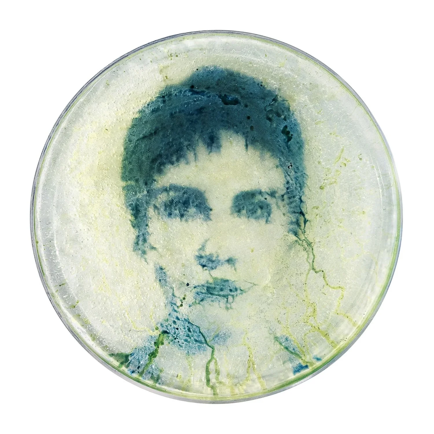 4 - 4_narciso  - 82afb412-6c53-4287-9881-9fef99b93667.jpg