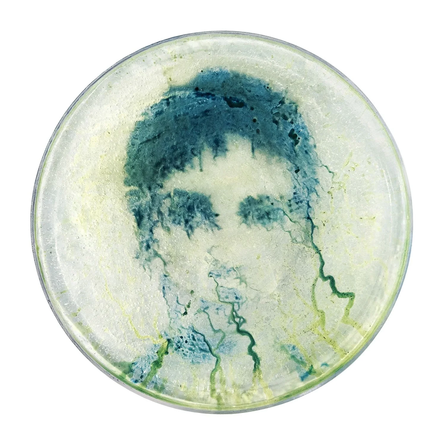 5 - 5_narciso  - 5e6e8c44-9480-4eab-8989-d25fff6b8319.jpg