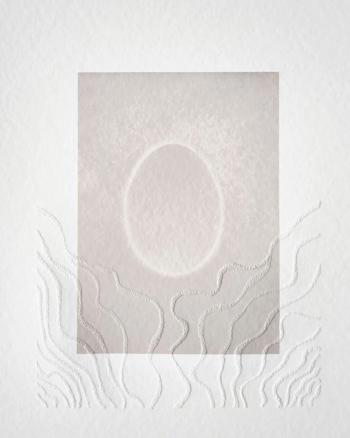 2 - Racines - 1234bea7-9399-4f42-94bc-dedd64d4e9ce.jpg