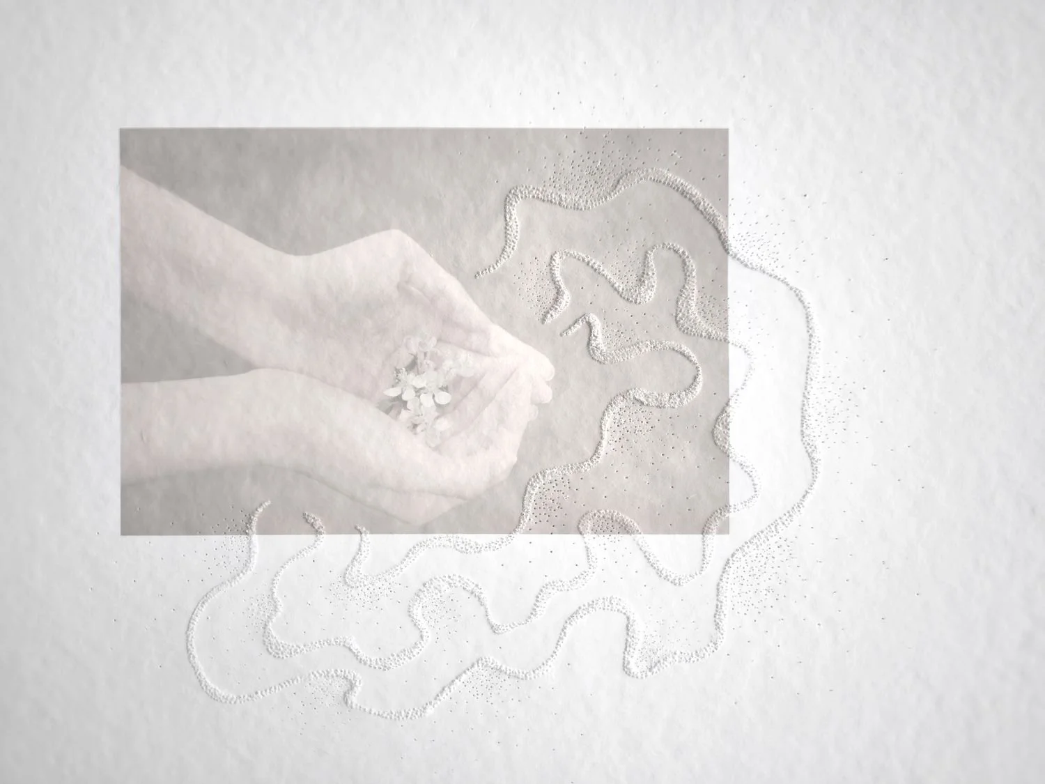 3 - Transmission - 08a3e517-a448-4bec-b7a0-3e0ee871fe00.jpg