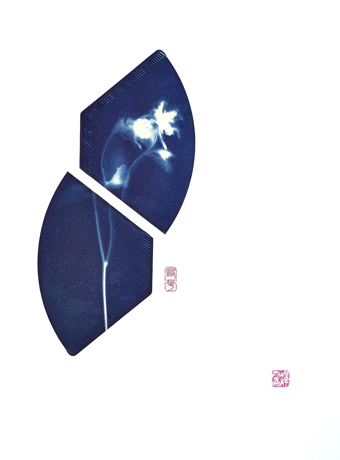 4 - Flower Matters -1 - f55cbb8a-9a22-4743-9e84-5a9981f1c936.jpg