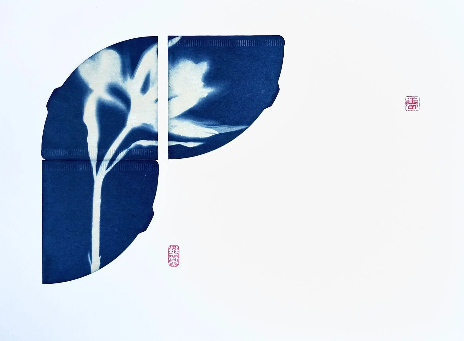 6 - Flower Matters -3 - a511a9e1-4fe6-41d9-998e-19e2fbd5d7c4.jpg