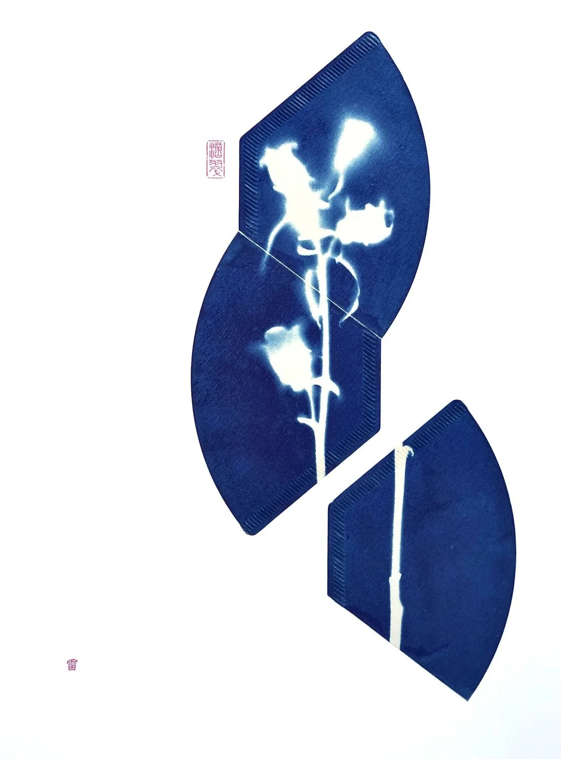 7 - Flower Matters -4 - f3830fb9-53b1-46ee-9880-7c3efc6b19ca.jpg