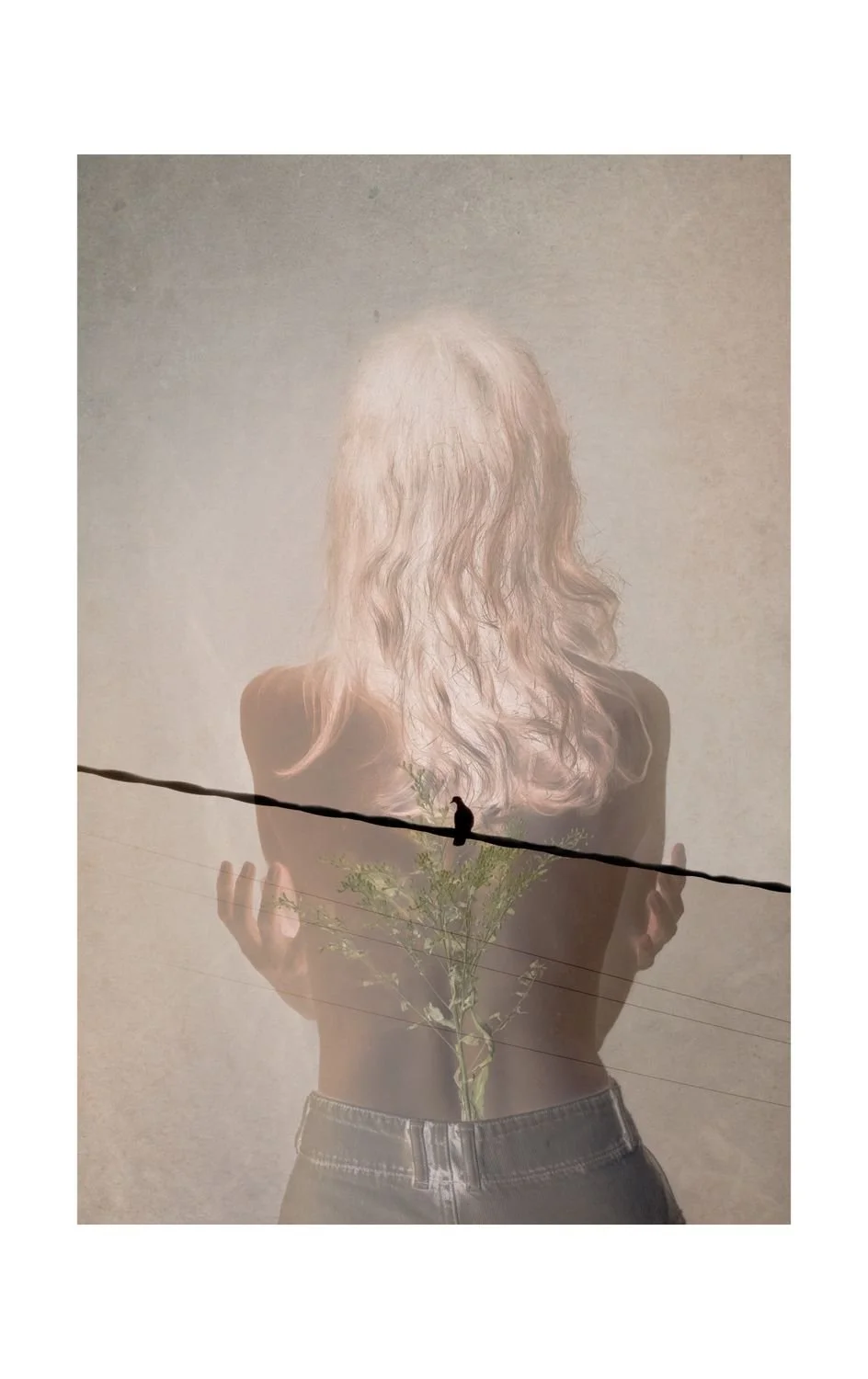 2 - SUSPENDED GERMINATION - 356f2b49-2765-4540-b99d-75a85777475f.jpg