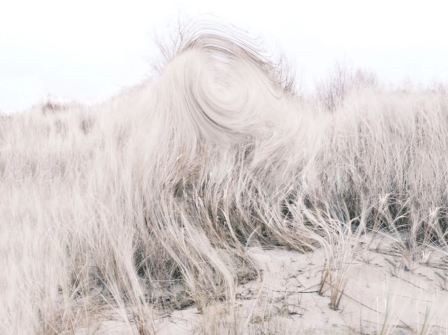 4 - 4 - e0f12d2d-9c7d-4503-ac67-b2ae9f5539c7.jpg