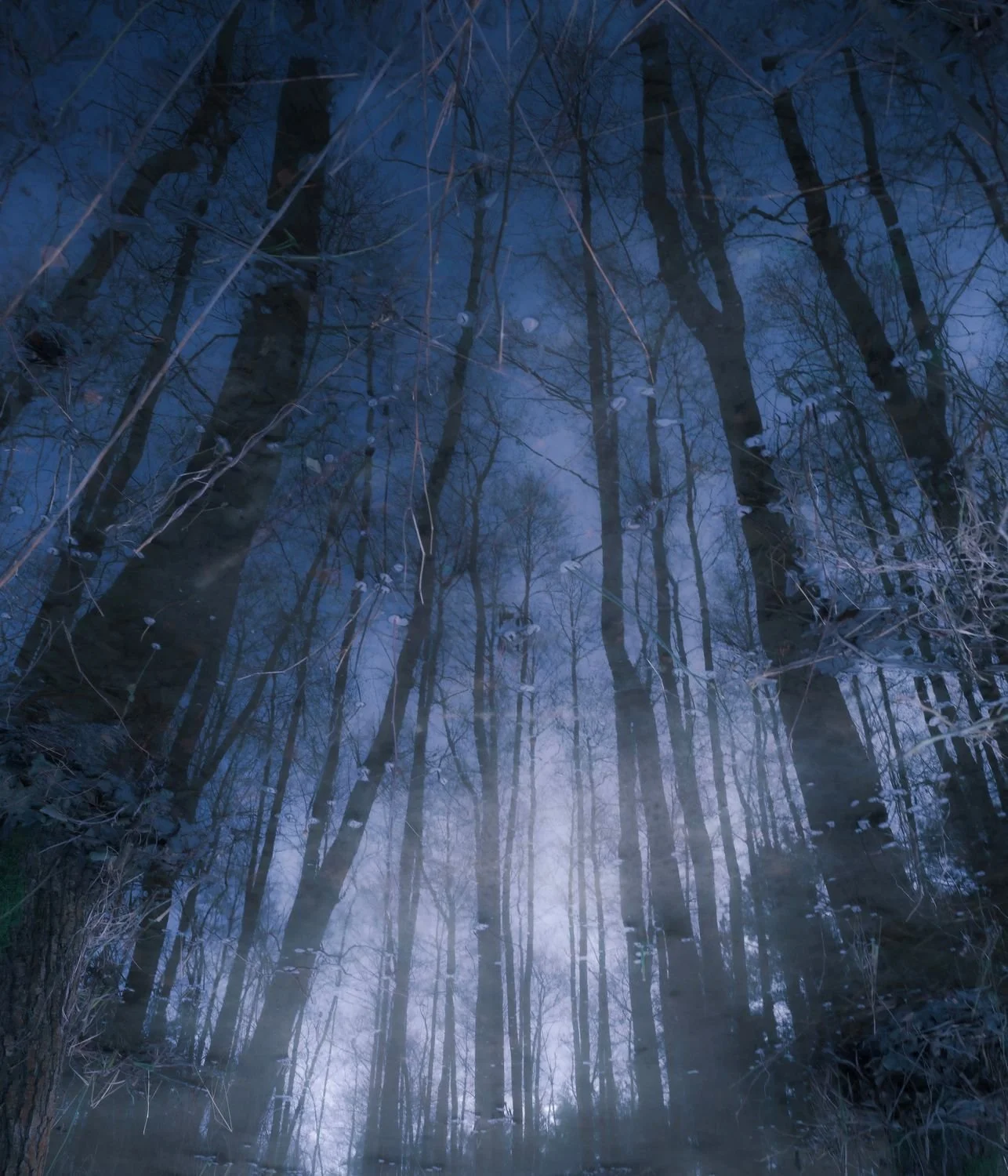 5 - 5 - 7f8c9b84-c16b-4dae-8c5e-ffffdb147a47.jpg