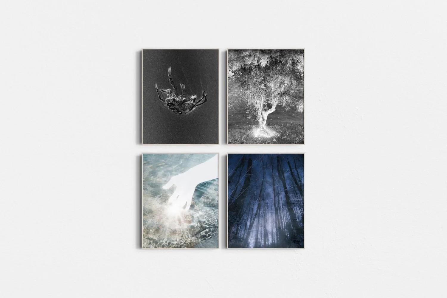 7 - Visualization of a framed photographs - c88bfd1b-d402-462b-be19-7146b410a904.jpg