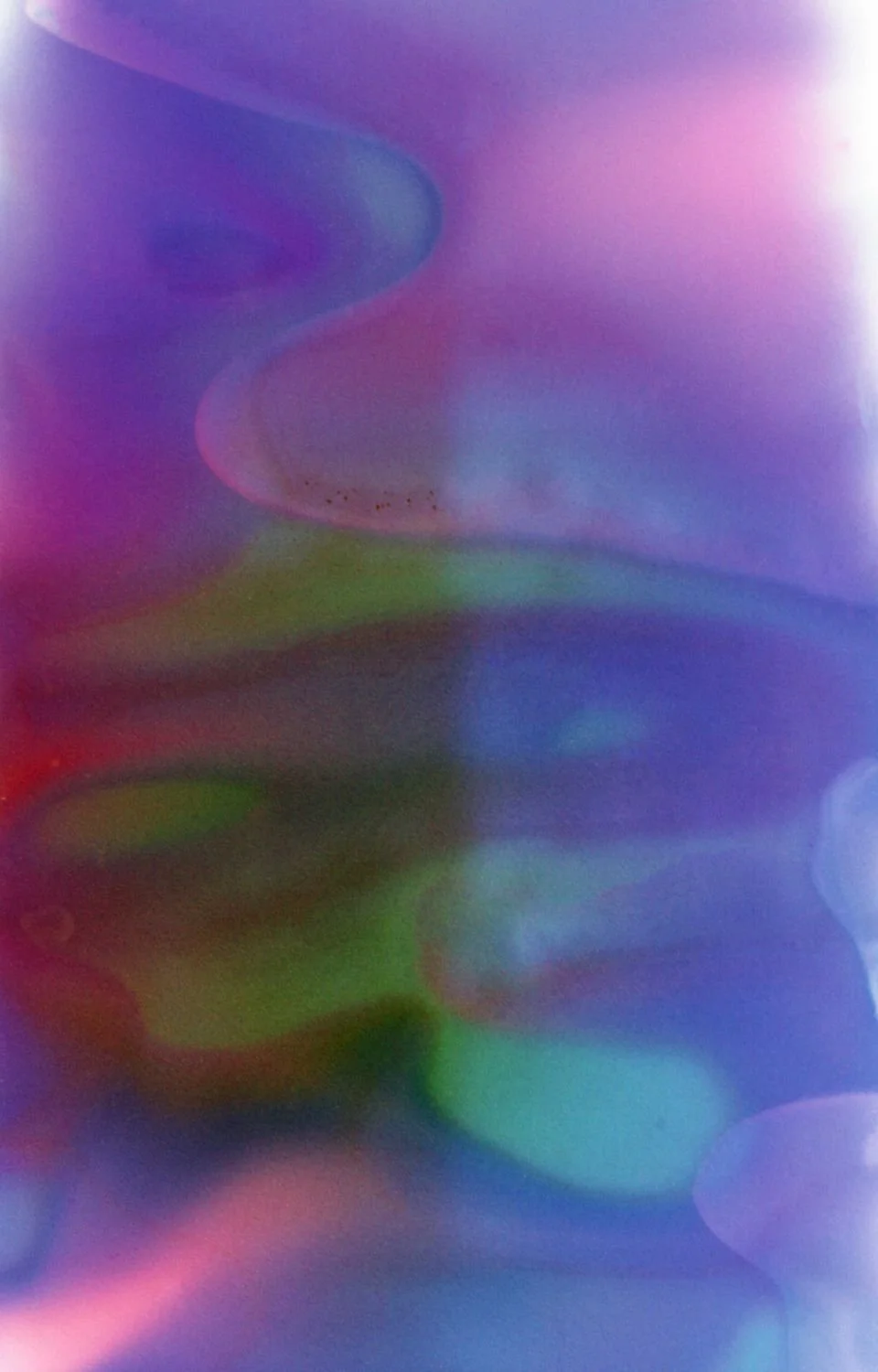 4 - Chicken Broth - Mexico- UK – 902 days - 77550f27-4aa7-45b9-a90f-e9f41dd08cab.jpg