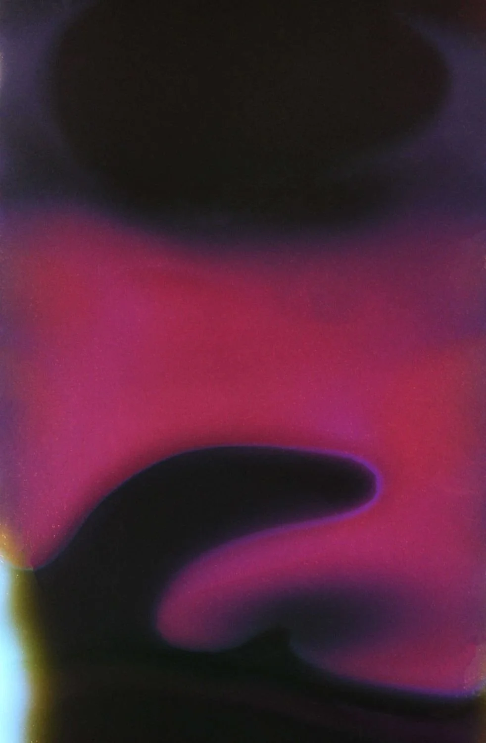 9 - Mint Tea - Lithuania- UK – 404 days (2) - 4f99ce8f-24be-4435-b7bf-4a847dca98f3.jpg