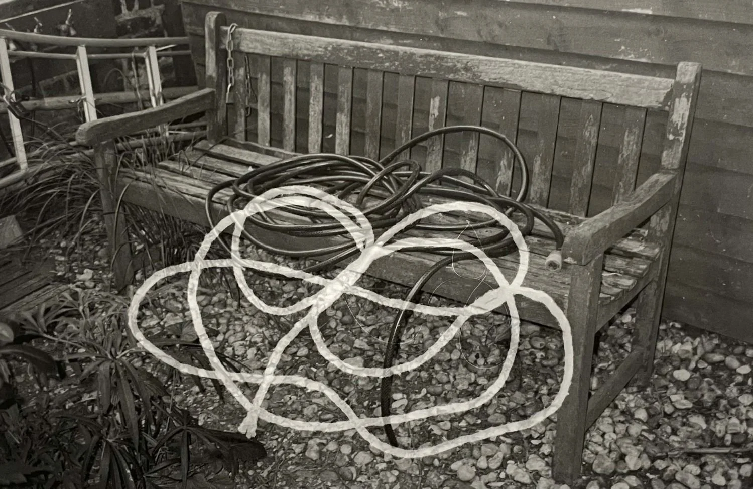 2 - unfold- 2025- photography- Xinyue Tao - 43e773f7-7ef6-465a-8b2e-88a806986e56.jpg