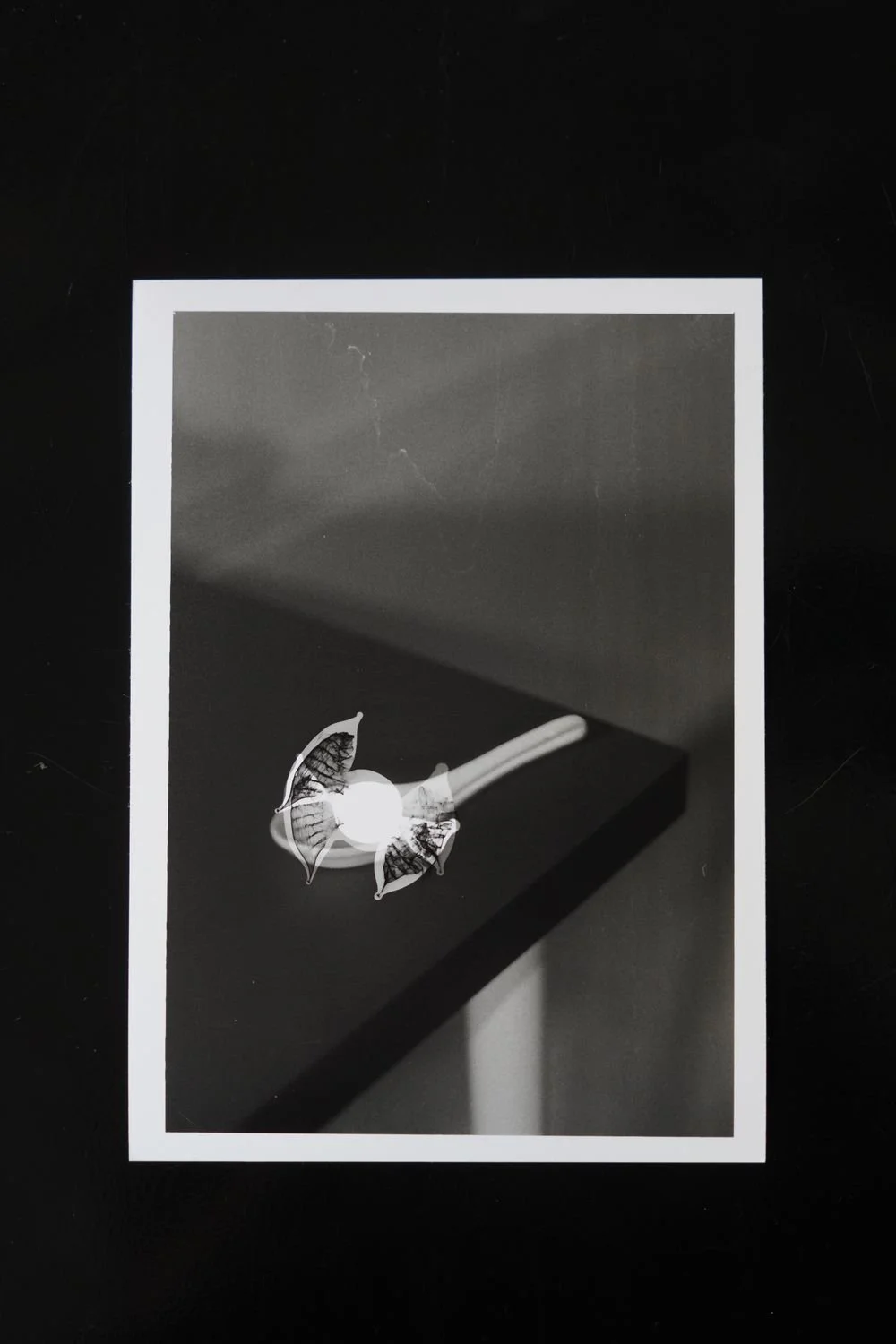 3 - Spooning- 2025- photography- XInyue Tao - 00dad193-28da-4742-8ca1-c0c9235c638f.jpg