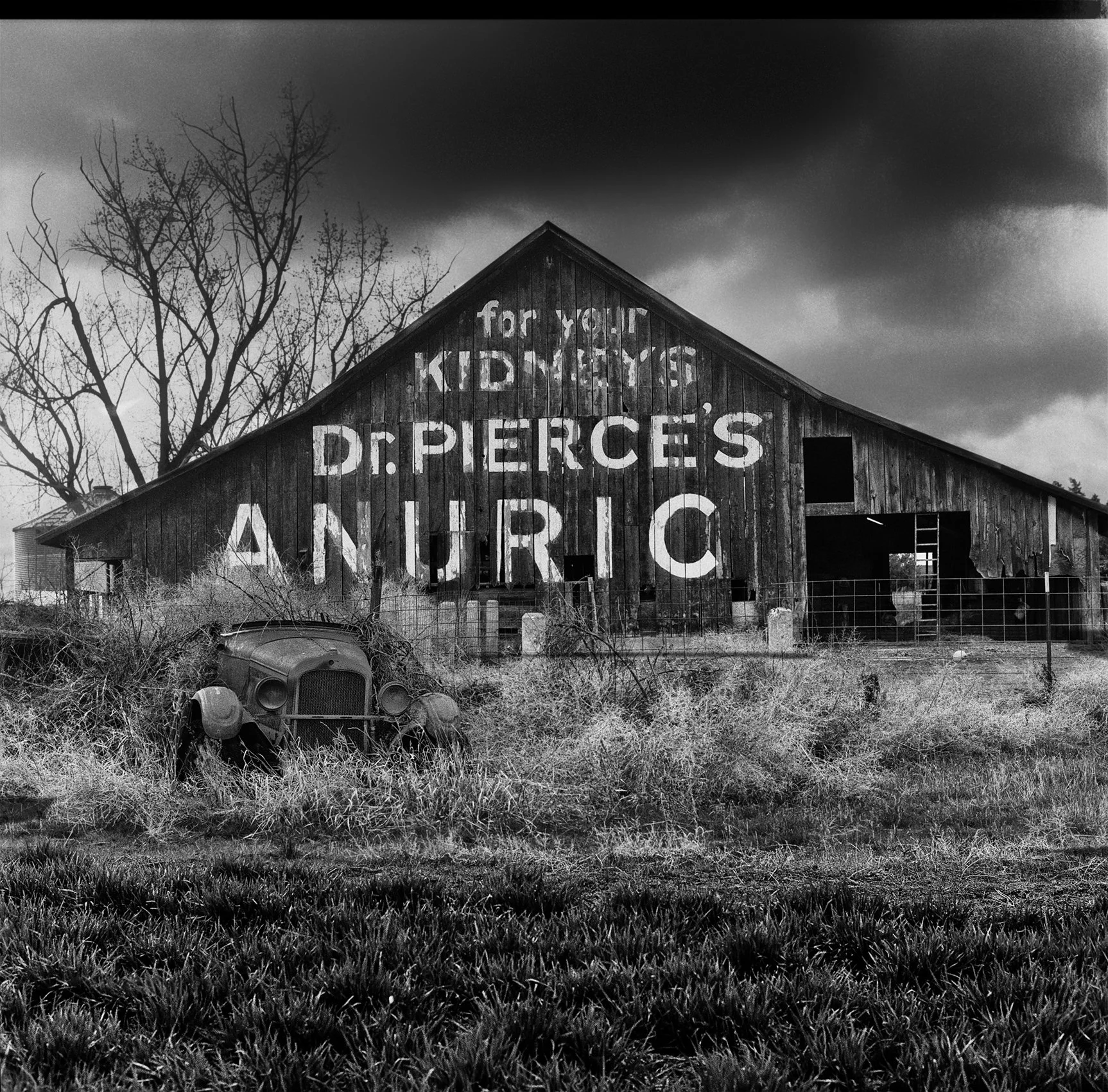 "Dr. Pierce's ANURIC" by Vincent Ricardel