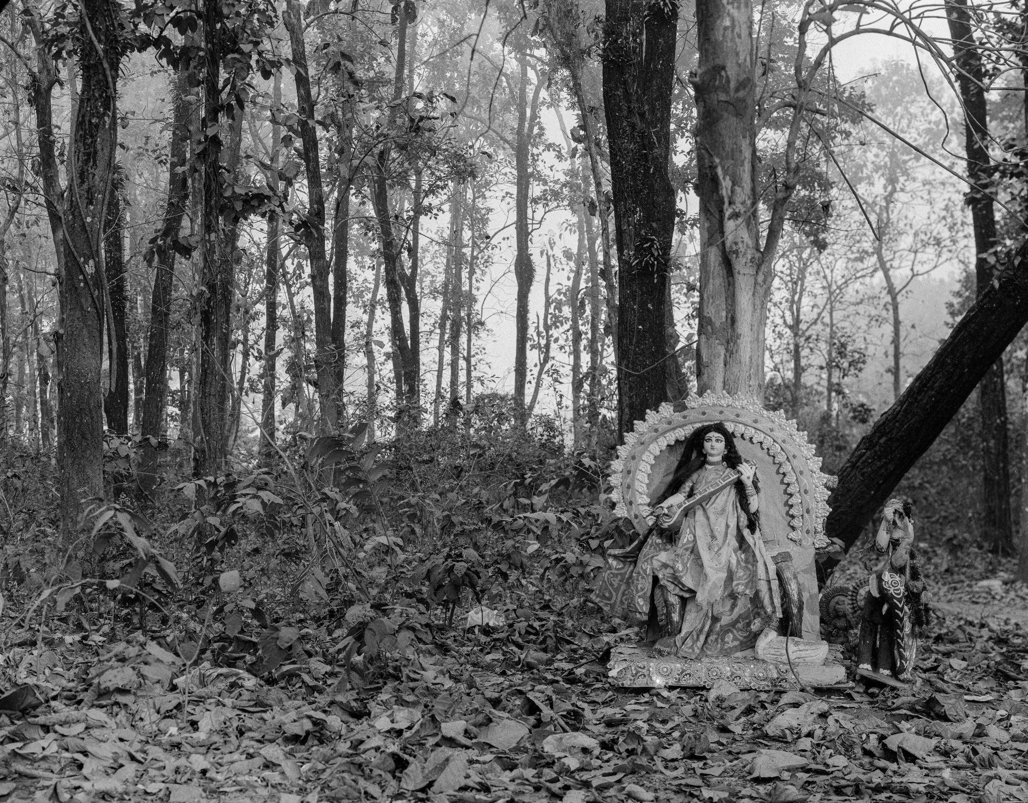 "The forest Keeps her" by Nithil Dennis