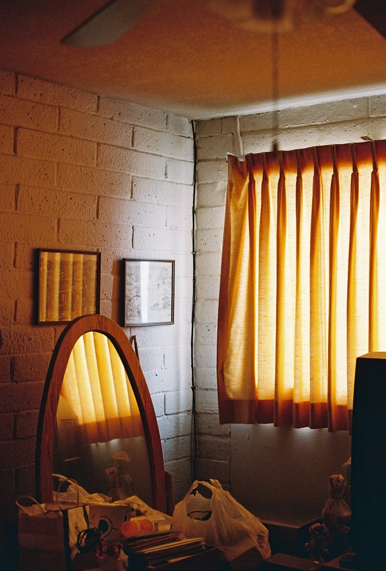 "Millie’s gleam" by Tim Brown