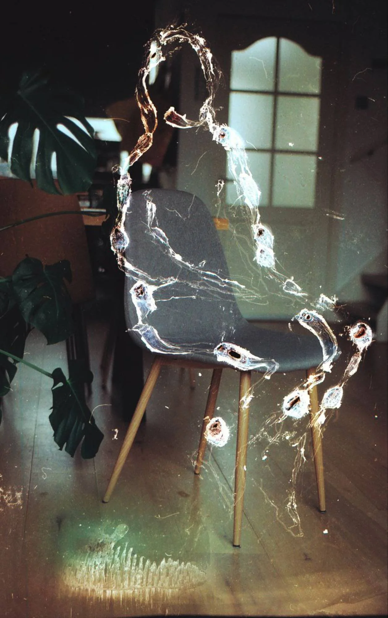 "afterimage" by Kaleigh Hunter