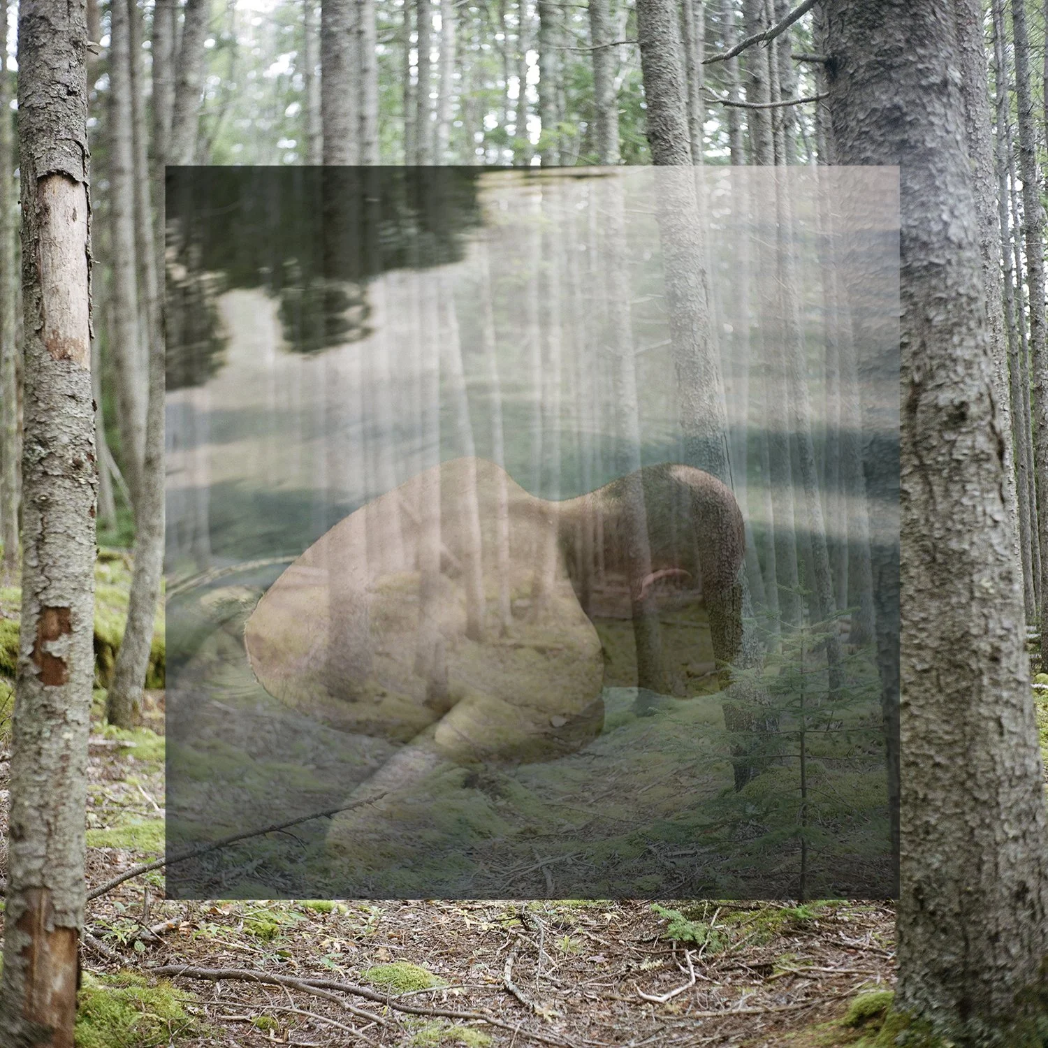 "Soak" by Kerry Long
