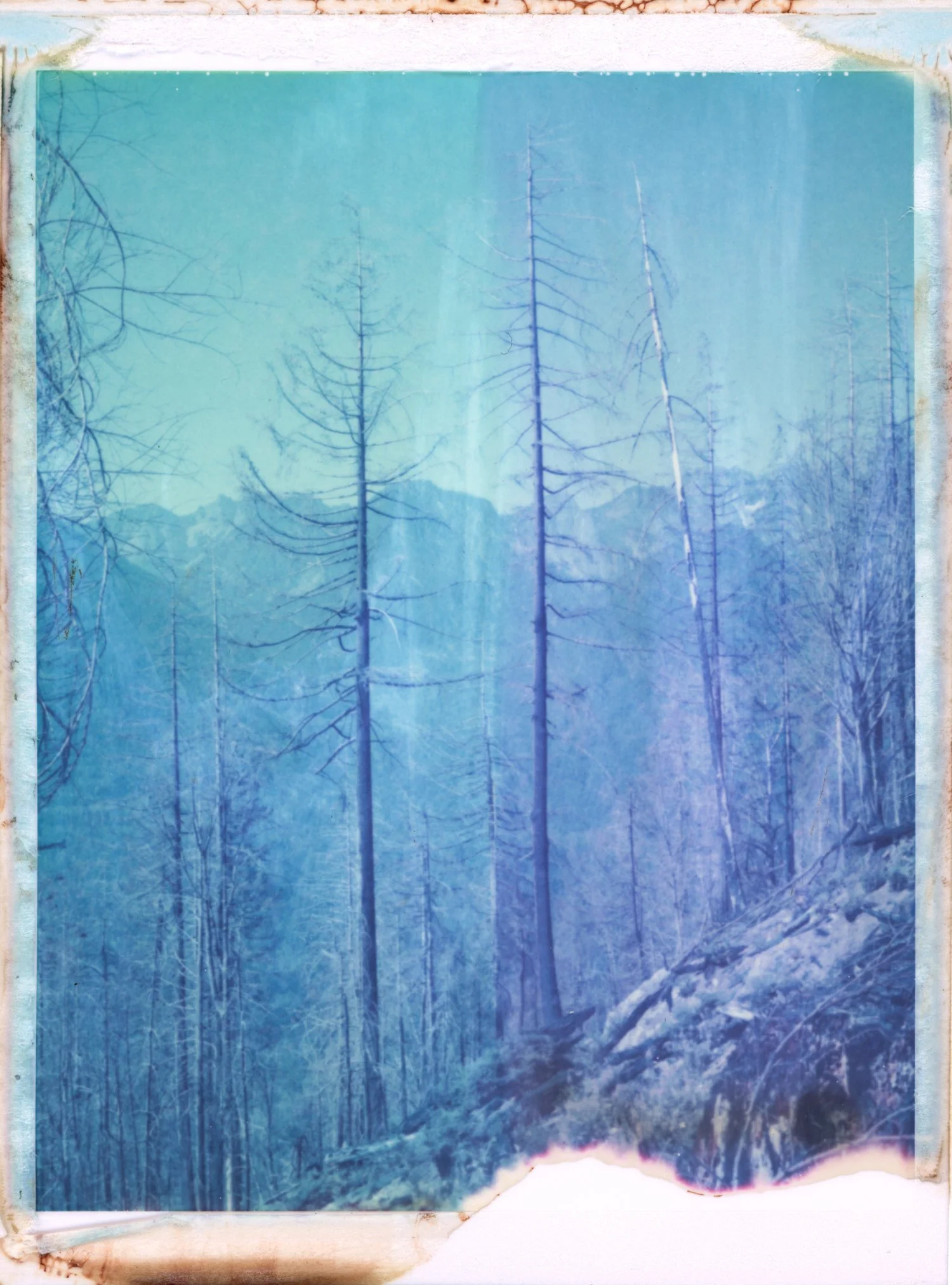 "Untitled" by Sara Dicey