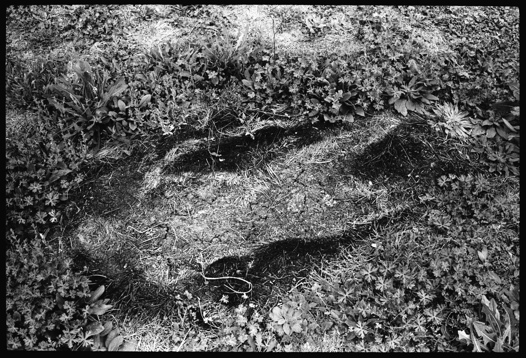 "Untitled" by Klaus Ruckgaber