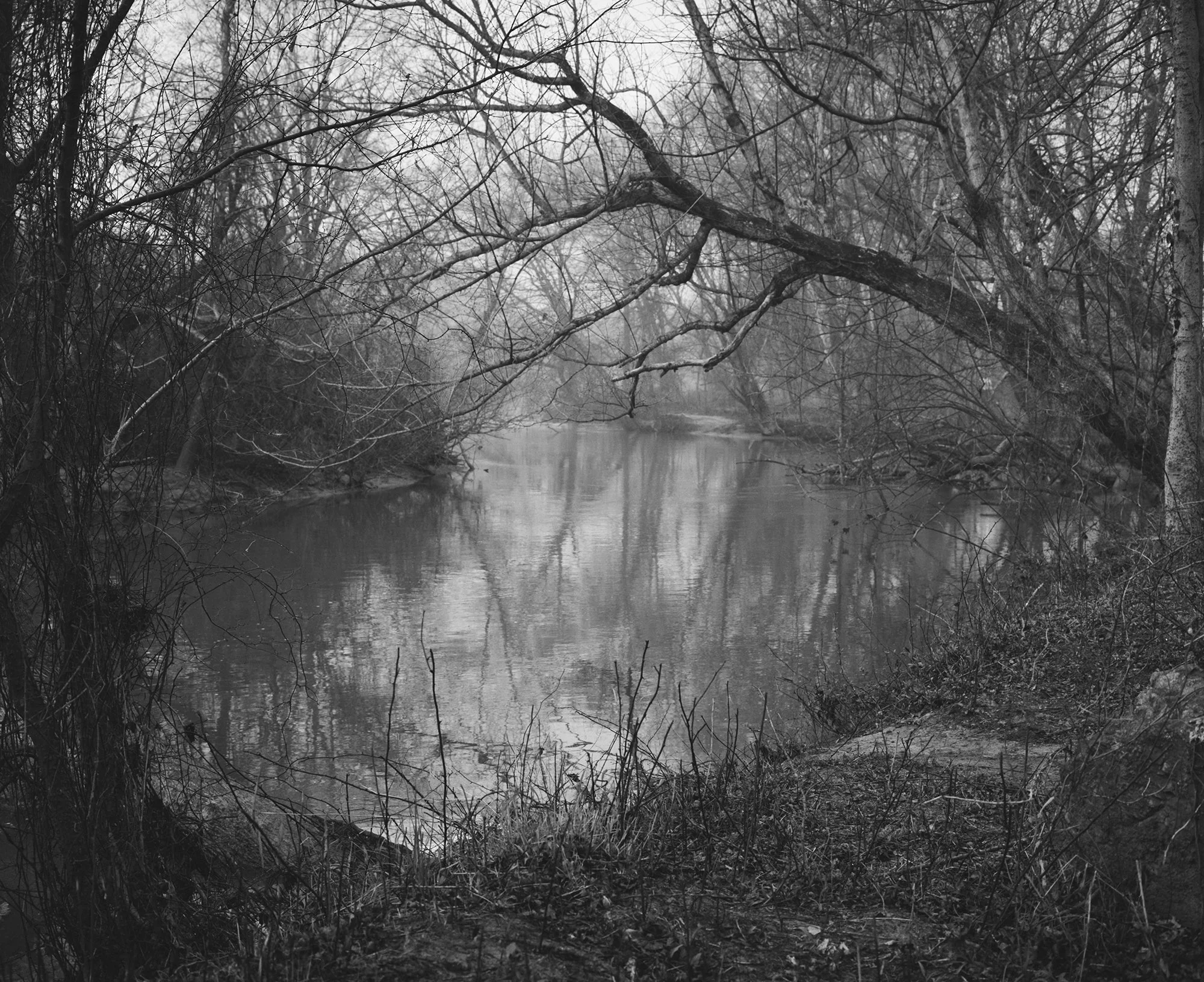 "On the banks of the Appomattox" by Sarah Midkiff