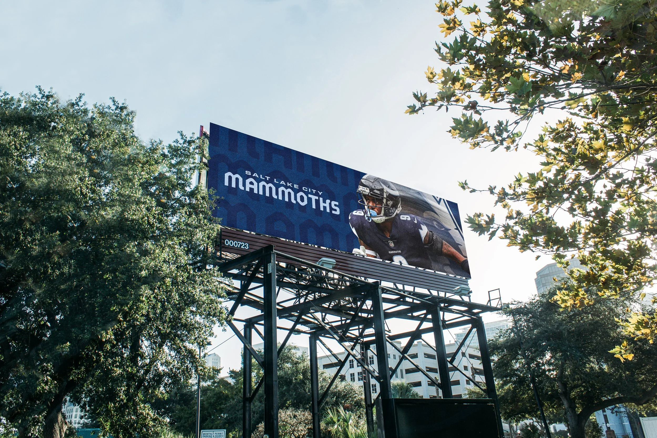 Outdoor_Billboard-1.jpg
