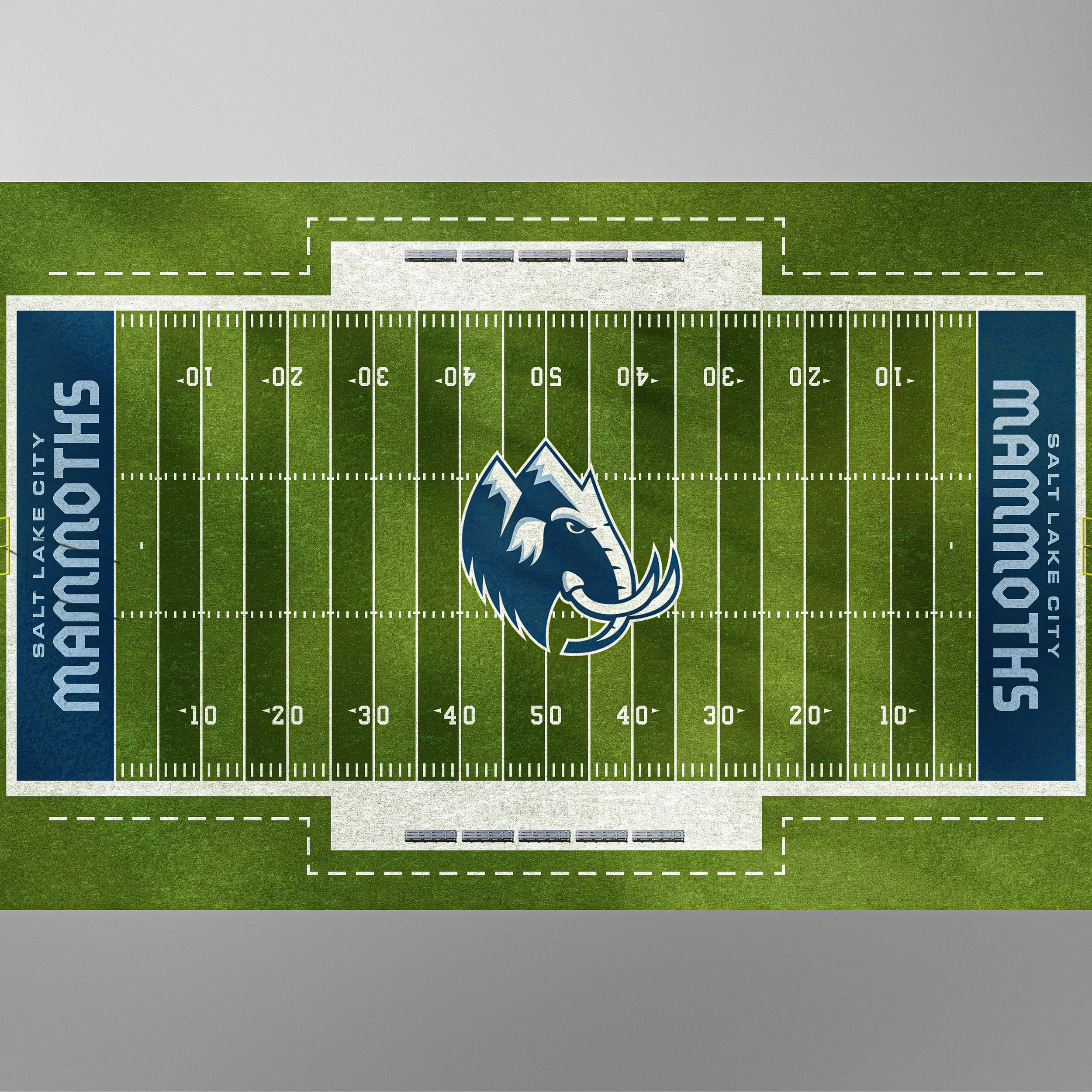 SLC_Mammoths_Football-Field-Overhead.jpeg