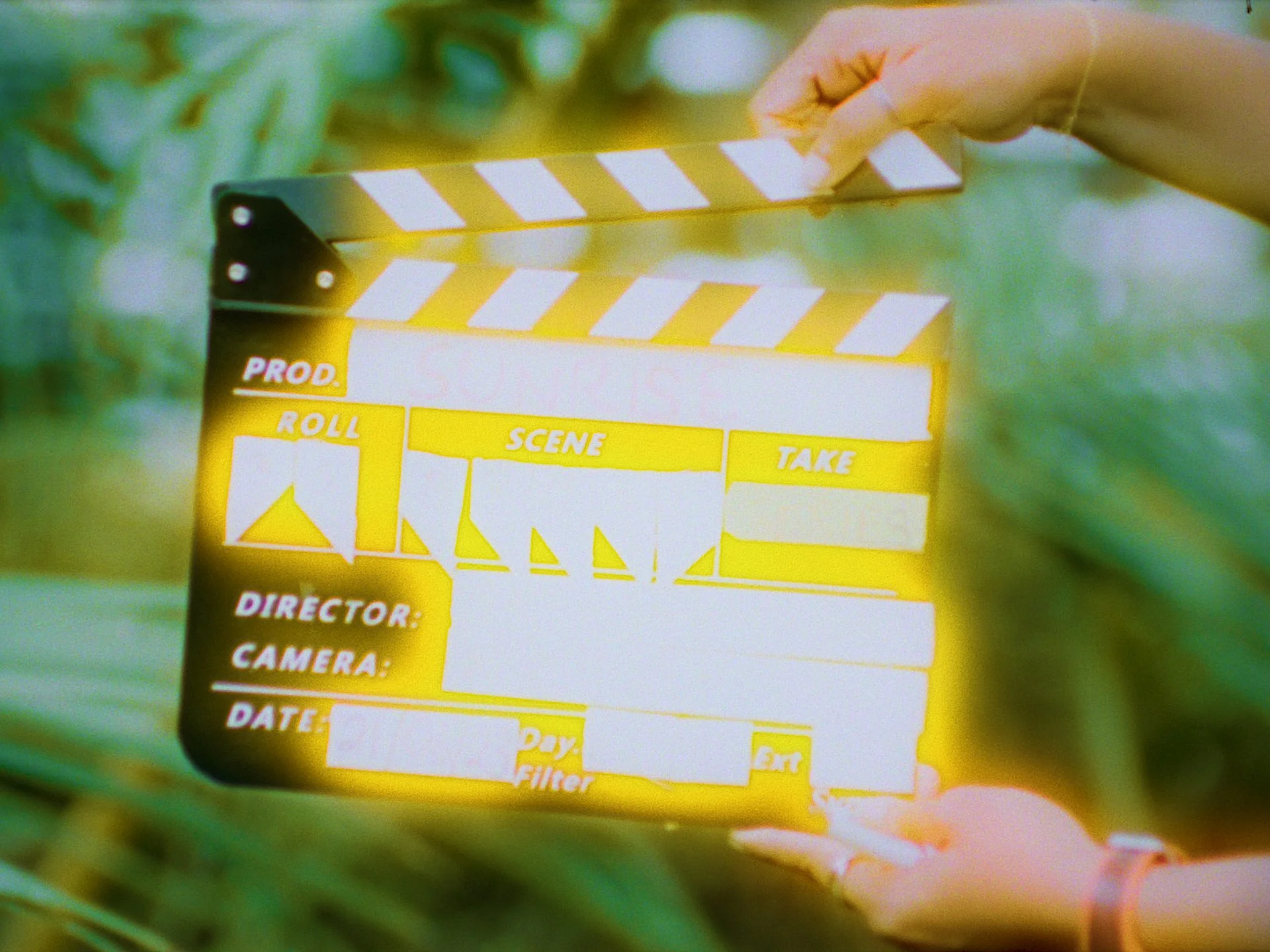 A Flower Falling Back Into the Earth (2026)