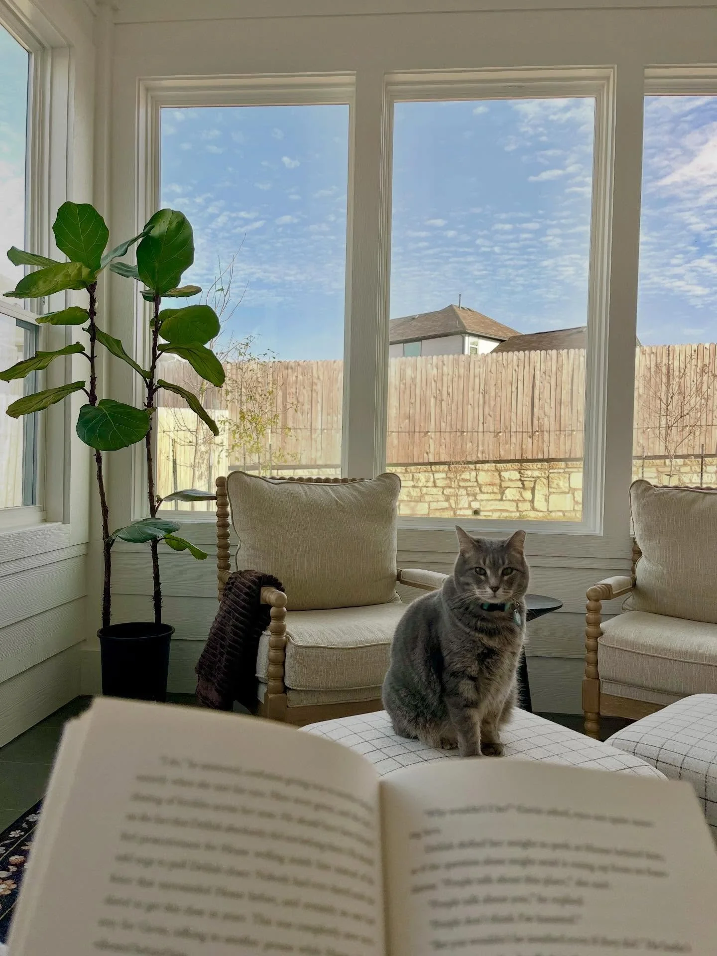 Morning reading in the sunroom! Wind chimes ringing. Slight breeze. Clouds in the skylight. Feeling grateful!