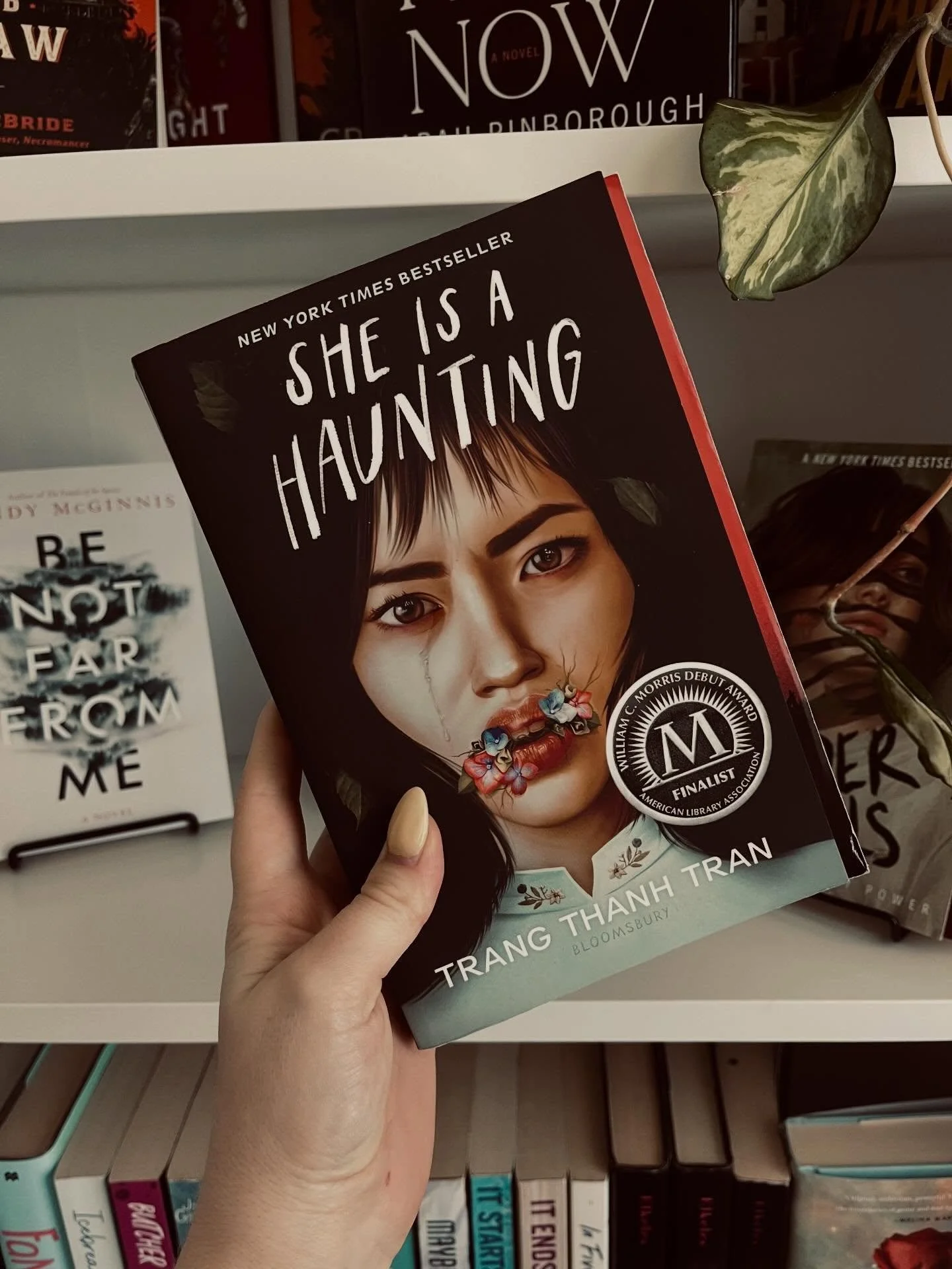 This week&rsquo;s reads! Loved both! And those who know me well, know I&rsquo;m a sucker for a cover with a face on it. (See wilder girls on the shelf too haha)