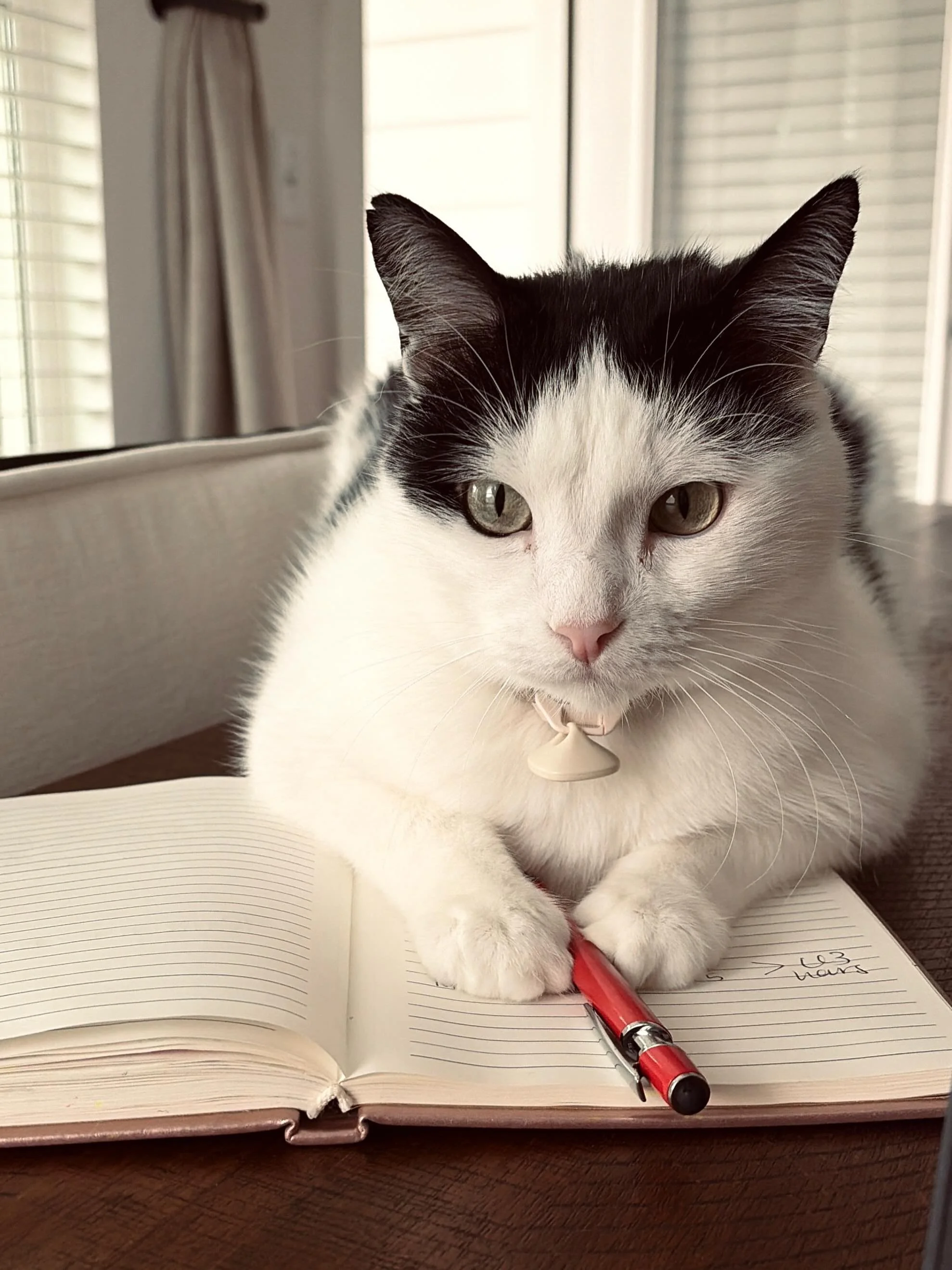 Writing partner this morning! Happy Saturday!