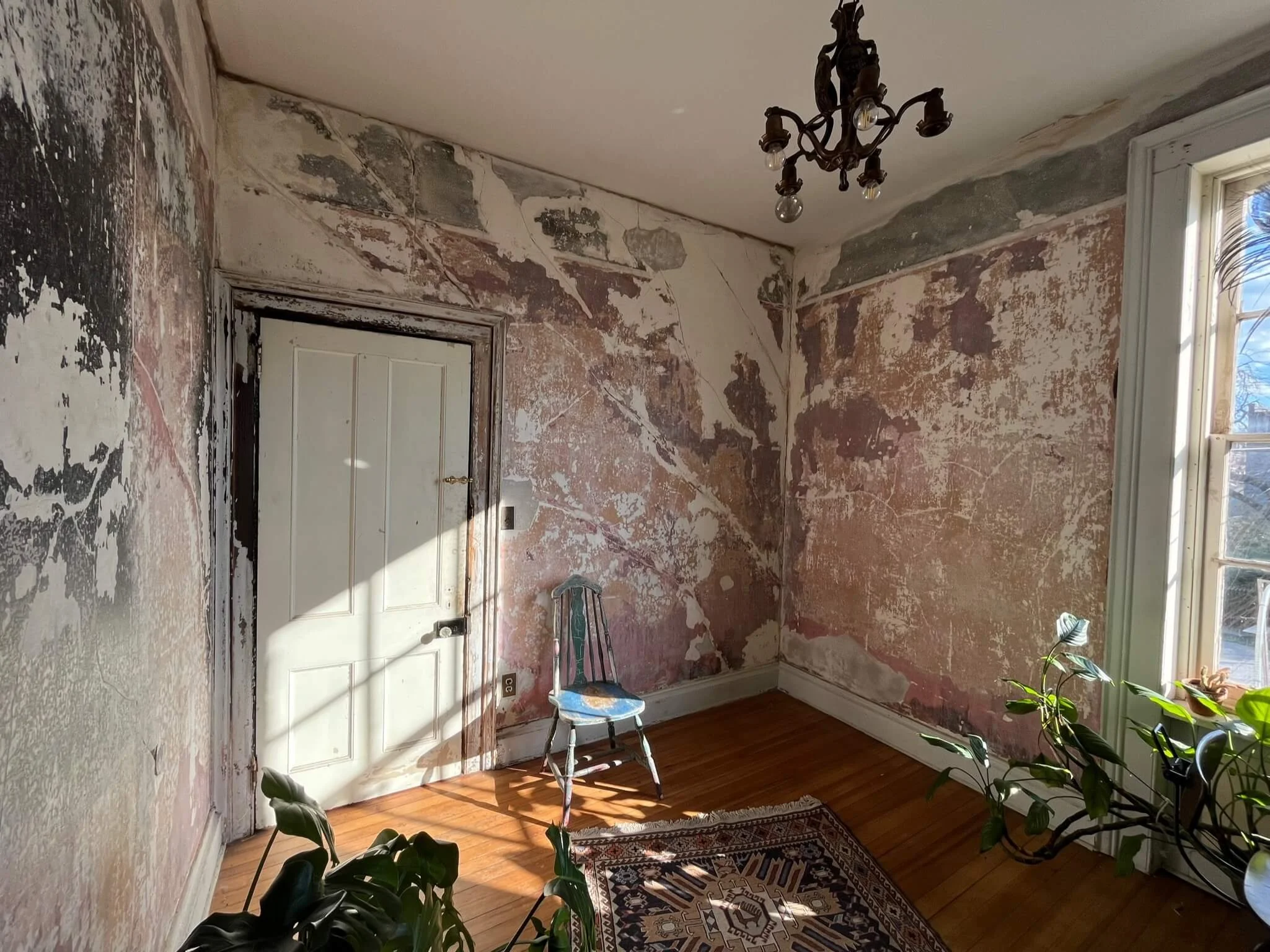 An empty room with peeling paint on the walls, a wooden floor, a small chandelier, a blue and white chair, plants, and a window with sunlight streaming in.