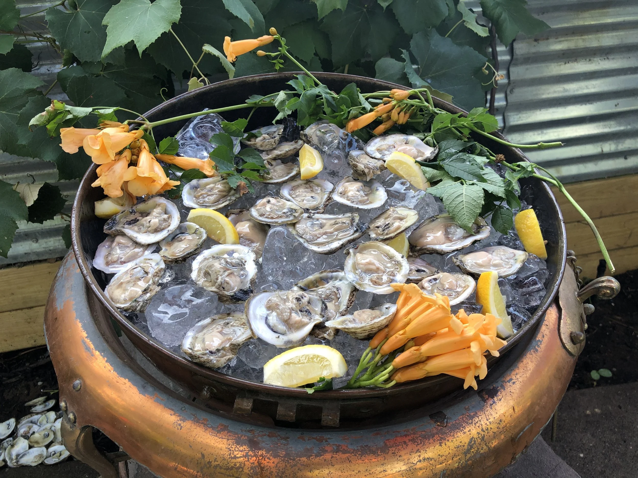 Seafood platter of raw oysters on ice with lemon wedges, surrounded by orange flowers and green leaves.