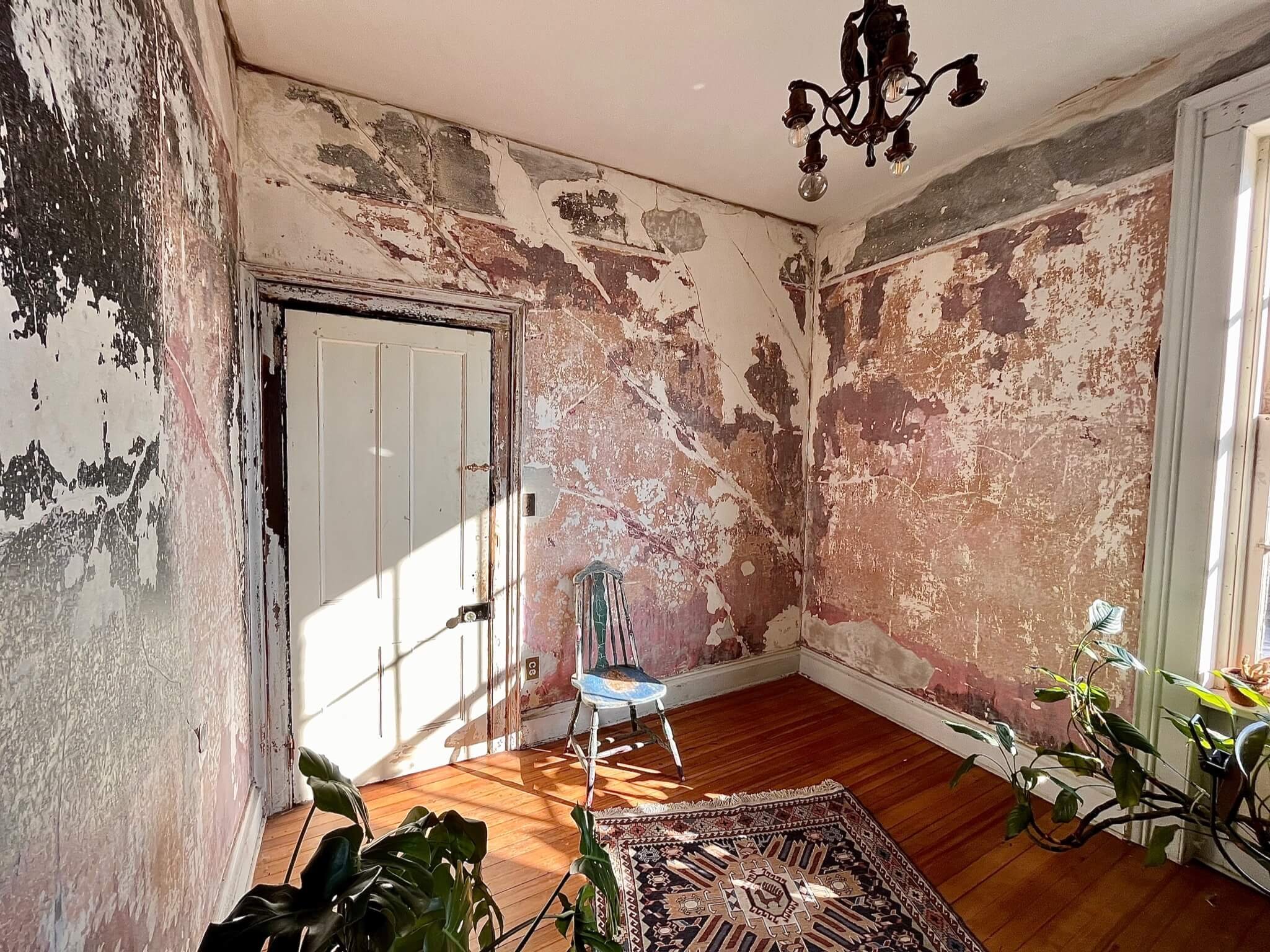 A worn, peeling wall in a small room with sunlight coming through a window, a vintage chair, a patterned rug, and a plant.
