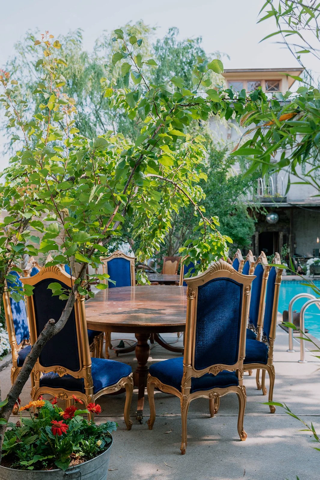 Outdoor patio with a round wooden table surrounded by blue velvet and gold antique-style chairs, green bushes, potted red flowers, a swimming pool, and lush trees in the background.