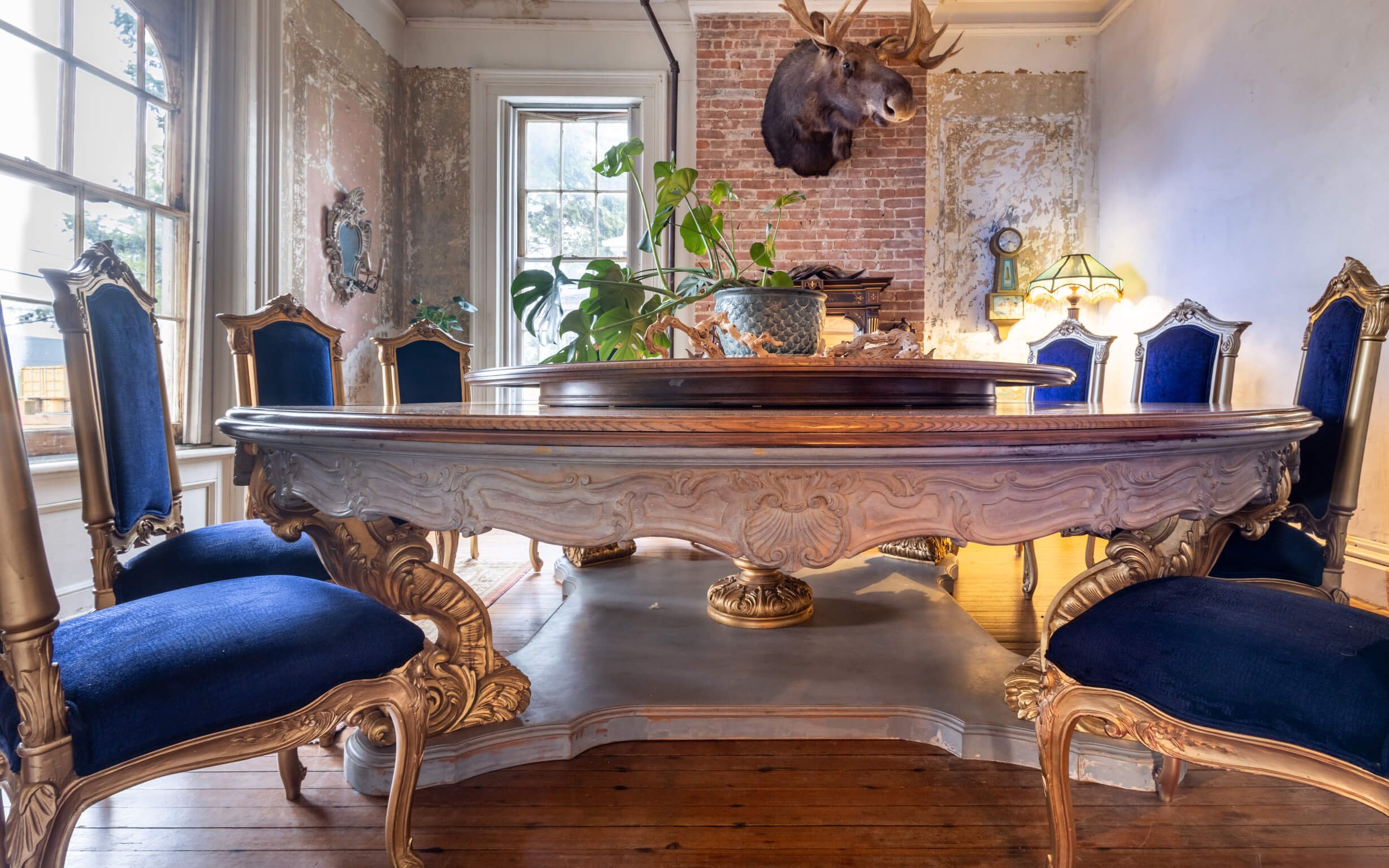Elegant dining room with ornate wooden table and blue velvet chairs, mounted moose head, and vintage-style lamp.