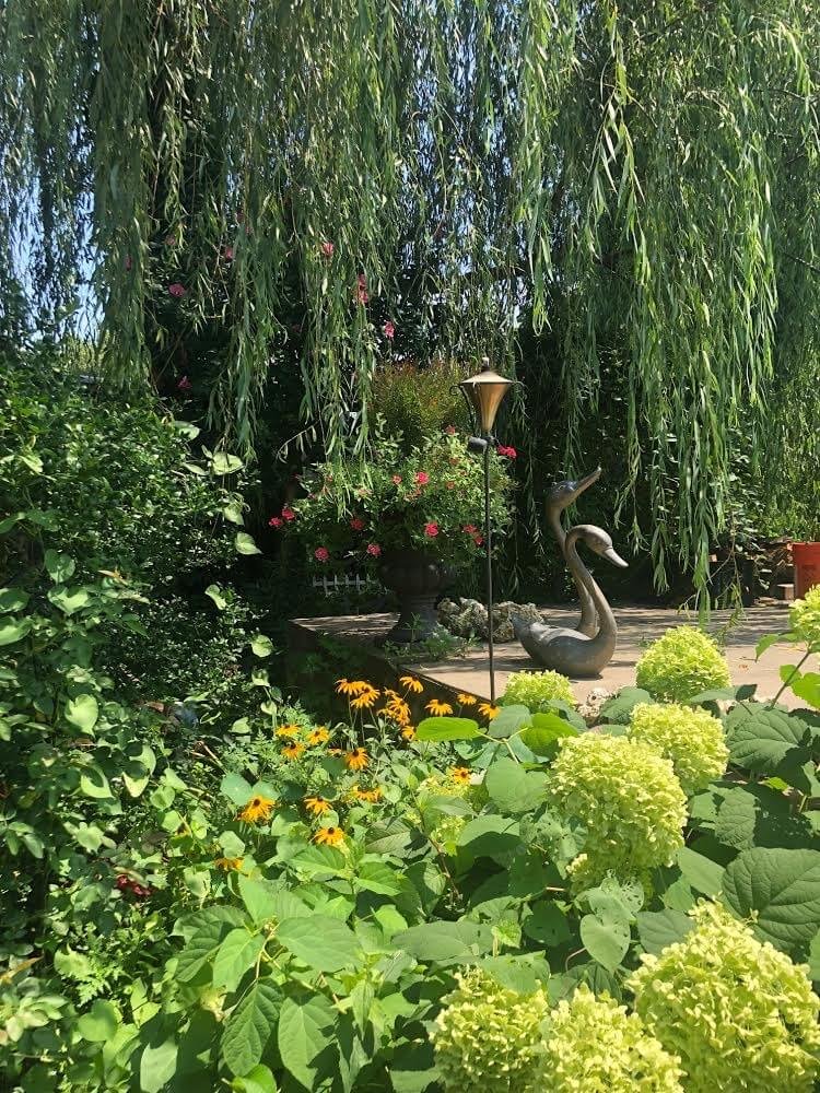 A lush garden with cascading willow tree branches, colorful flowering plants, and decorative swan statues near a small pond.