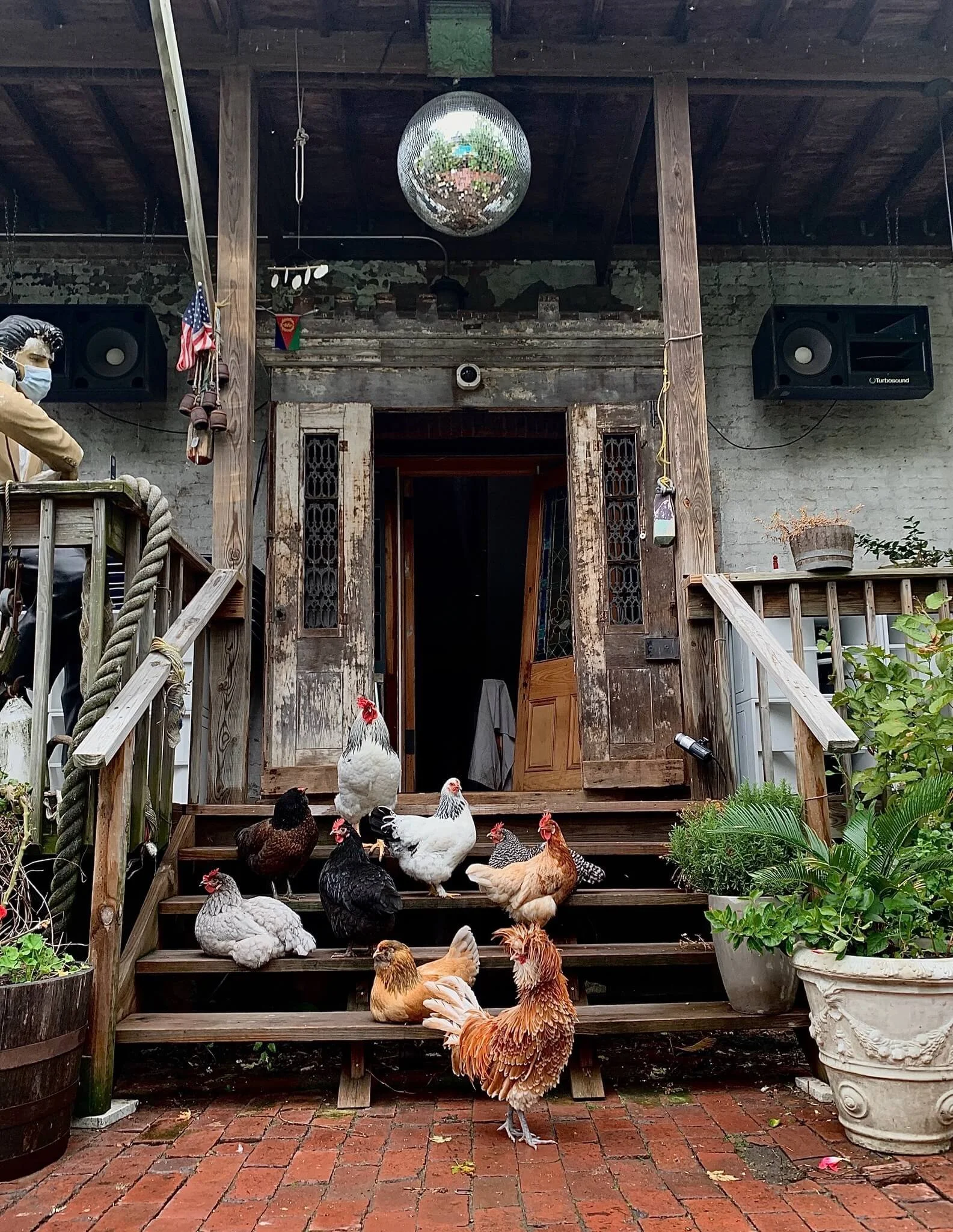 Front porch of a rustic wooden house with chickens and a rooster on brick steps, potted plants on the sides, and a disco ball hanging from the ceiling. An American flag and small Ugandan flag are visible near the top left corner.