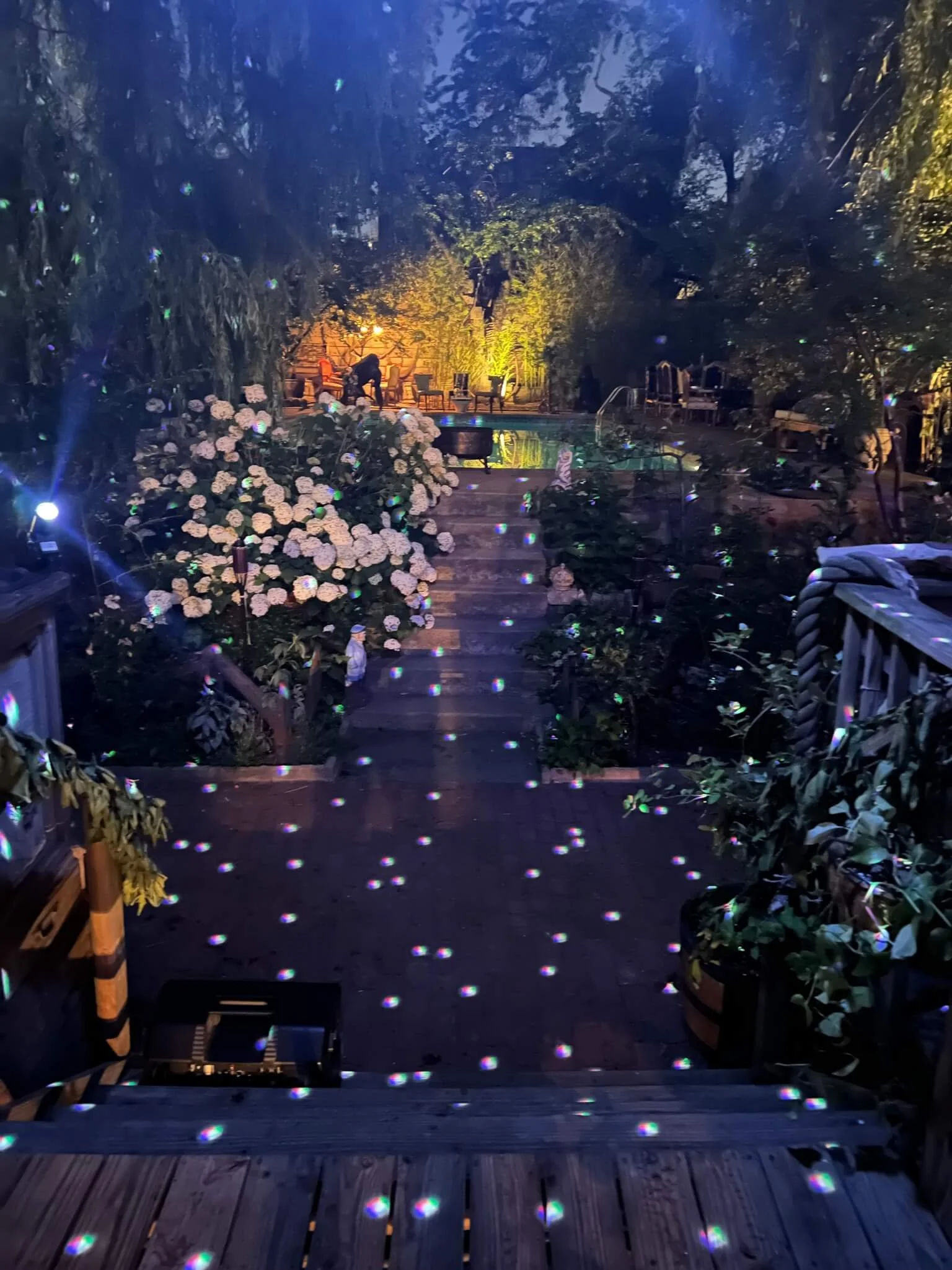 A backyard at night with a flower bush on the left, lit by colored lights and fairy lights; a swimming pool in the distant center, surrounded by chairs and tables; a wooden deck with steps leading down to the garden.