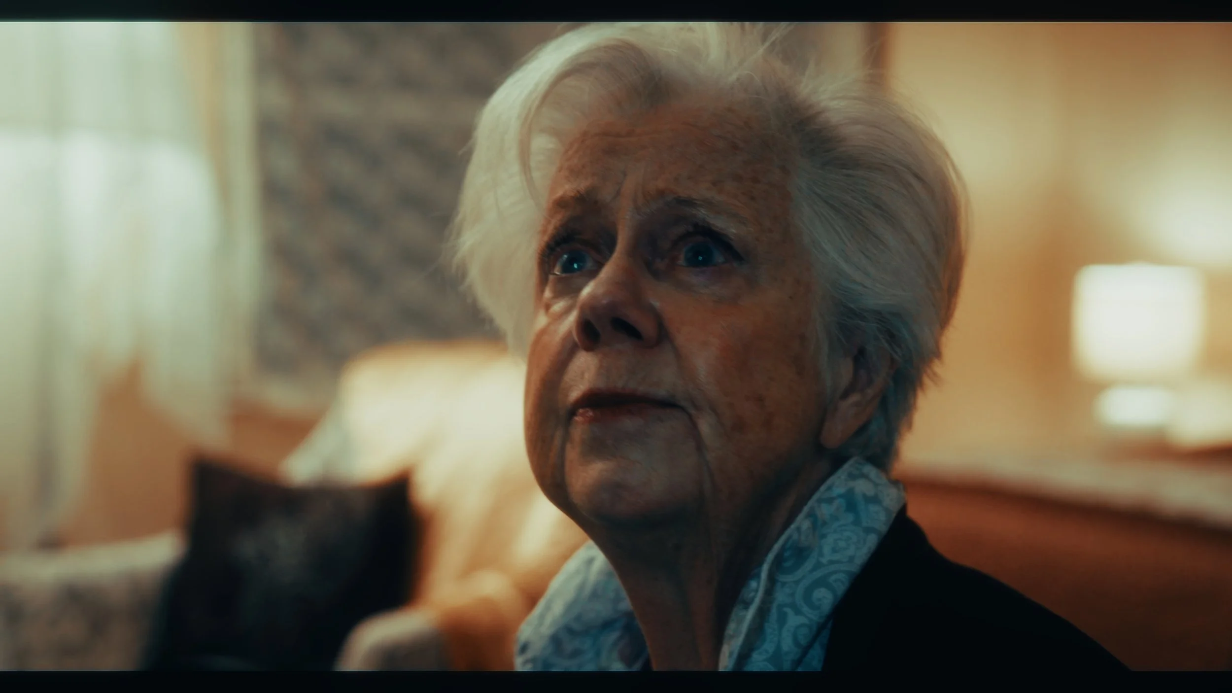 Still 2026-01-01 032021_1.2.1.jpg