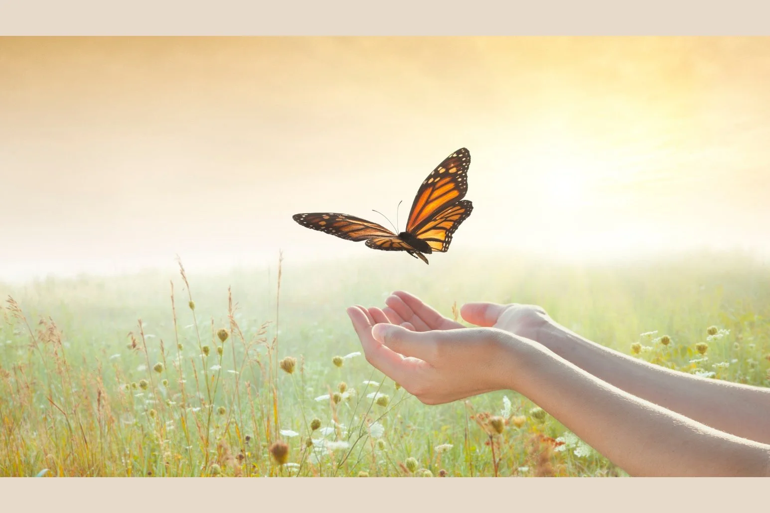 To Be or Not to Be-Resolute