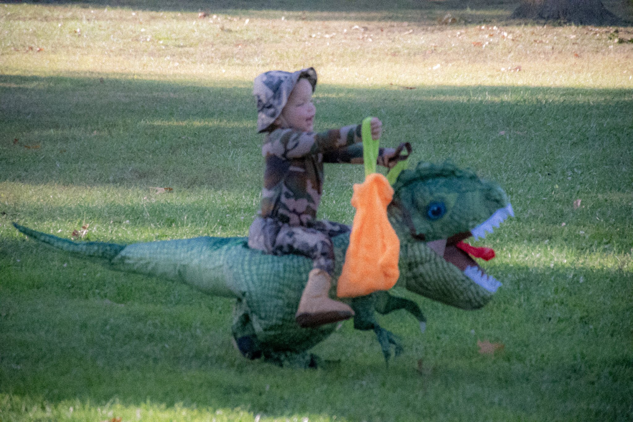 24-DSC_4026.jpg