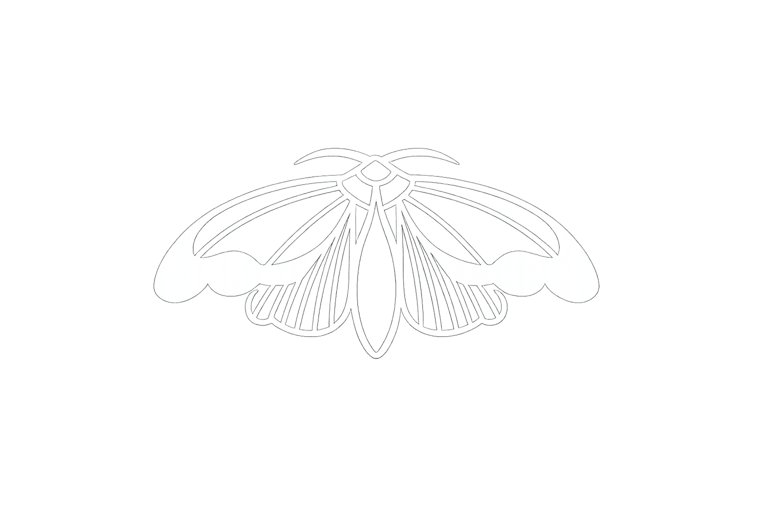 hallowmoth