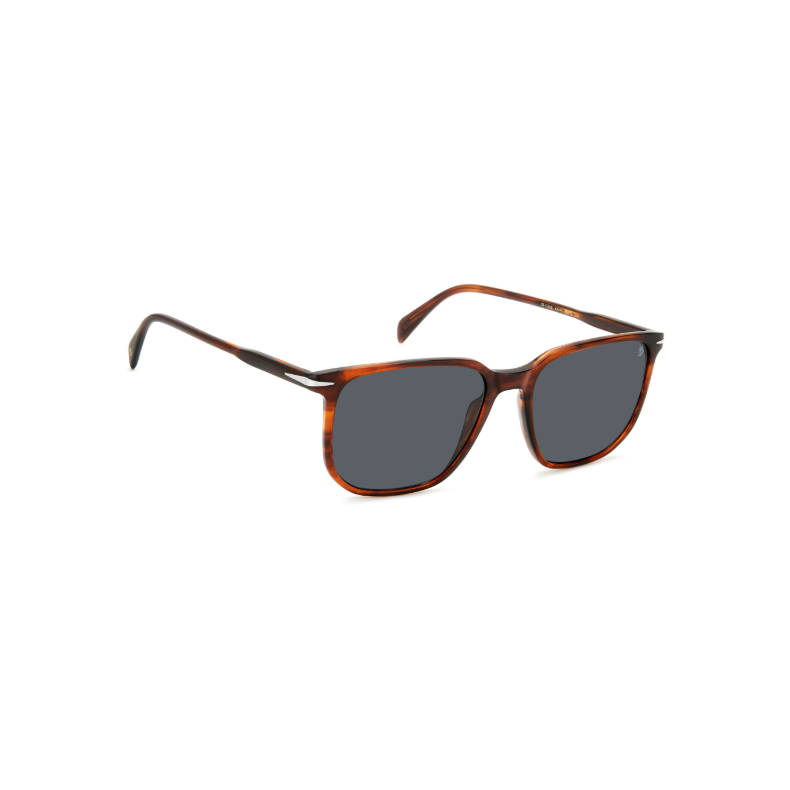 DB 1141s-2-1141 ex4 brown horn.png