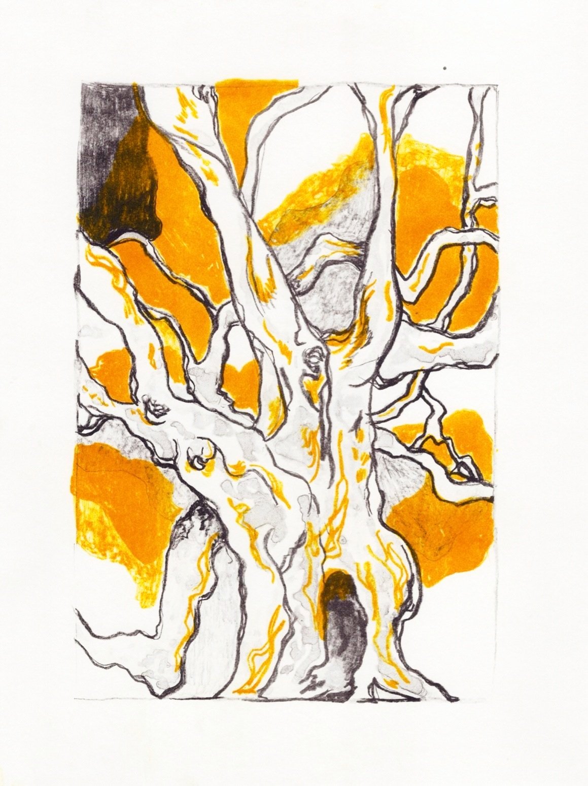 Tree (Photo plate lithography)