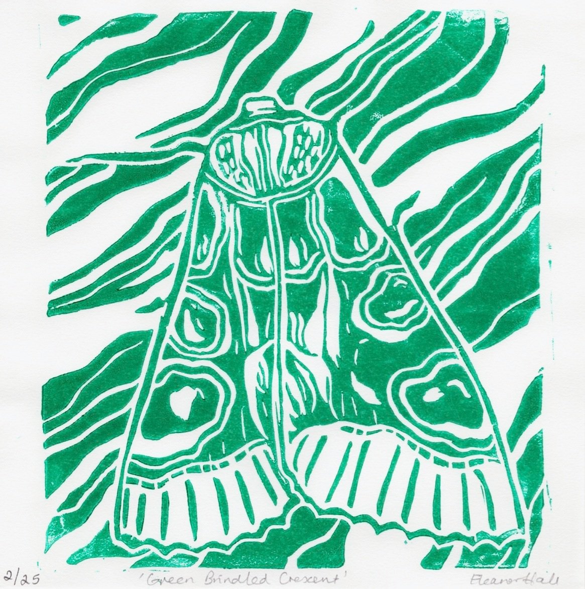 Green Brindled Crescent (Hot Bed Press 20:20 Print Exchange)