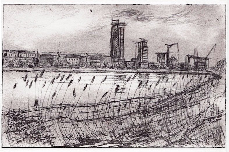 Woodberry Wetlands