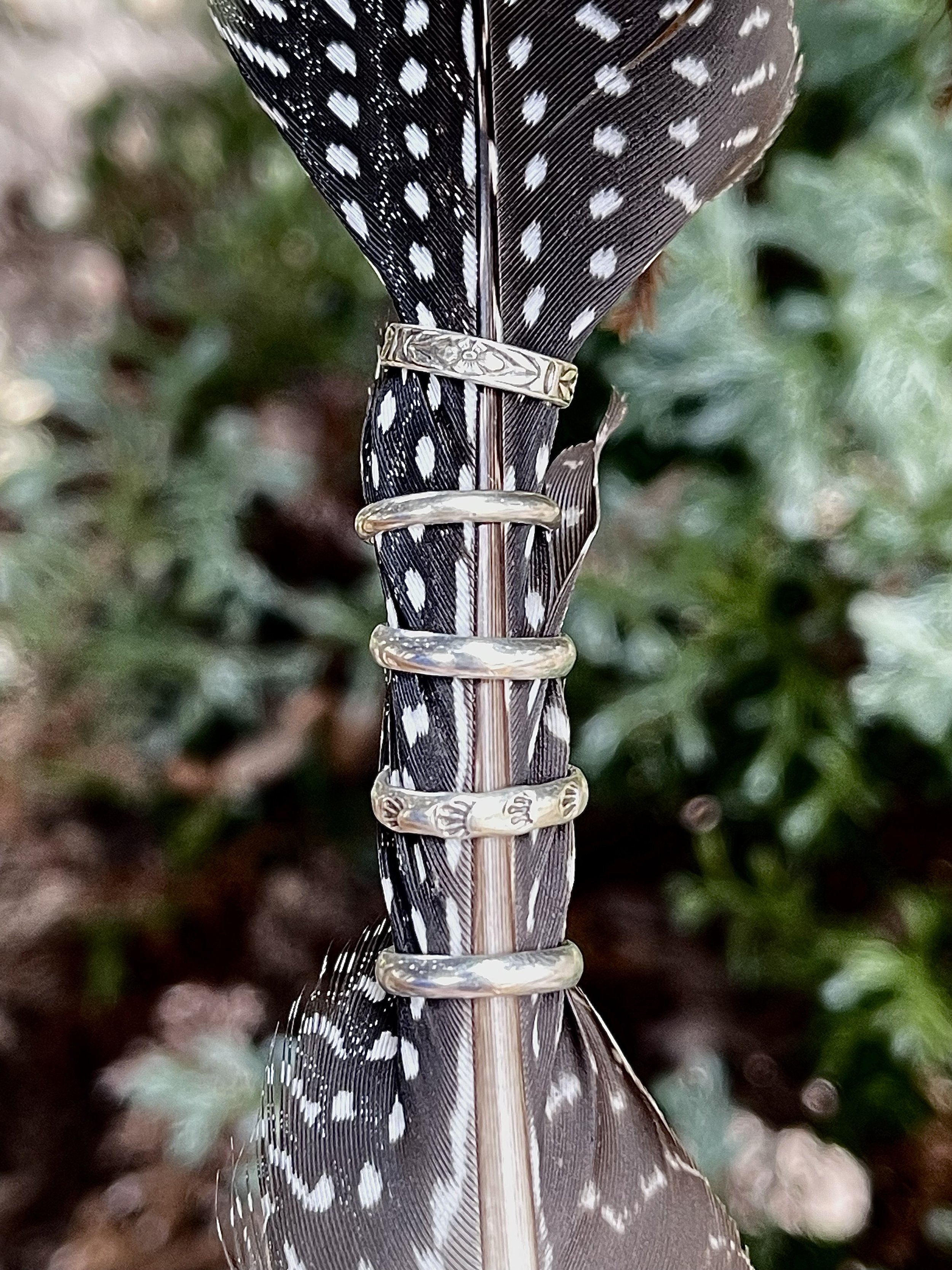 IMG_4436.jpeg (Copy)