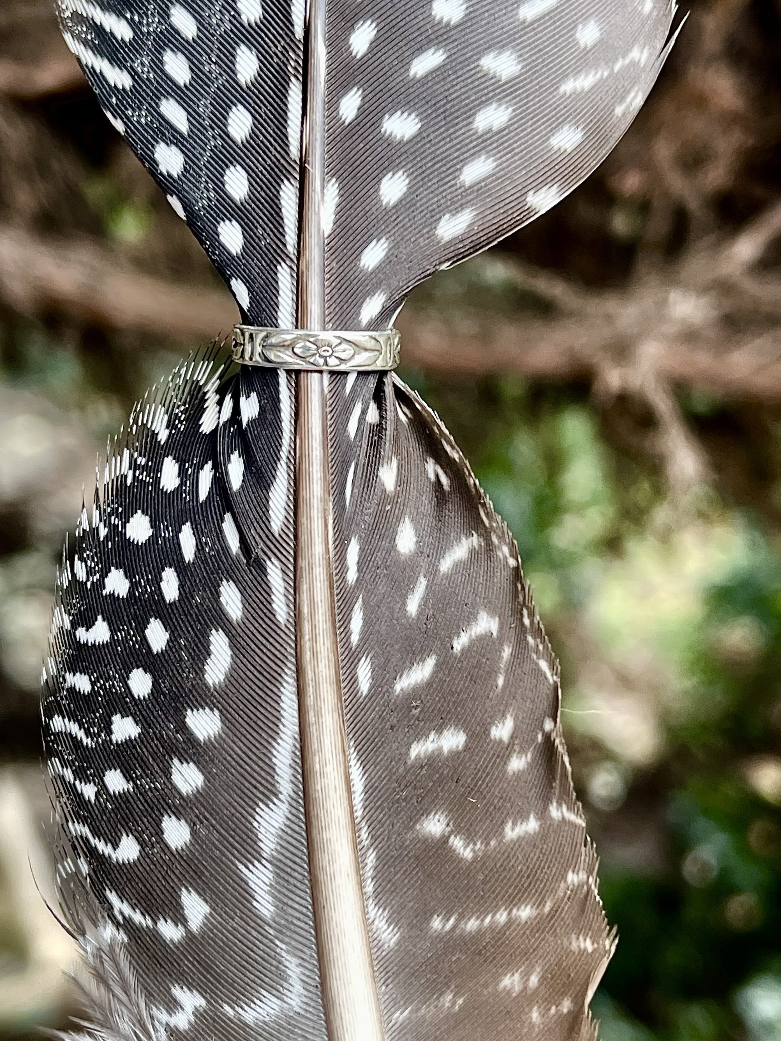 IMG_4420.jpeg (Copy)