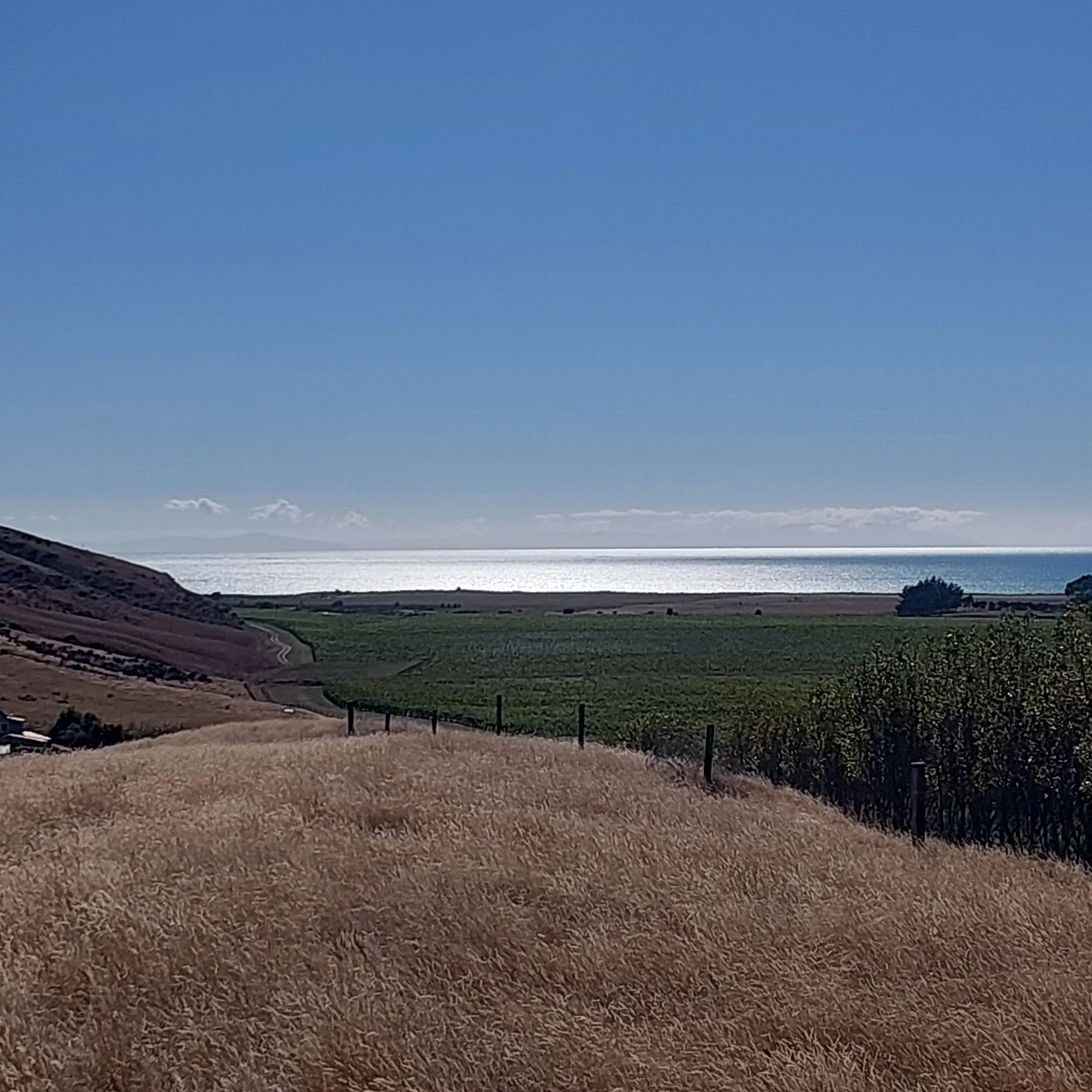 A view of a lake or ocean with distant snow-capped mountains under a clear blue sky, a rocky shoreline on the left and some vegetation in the foreground.