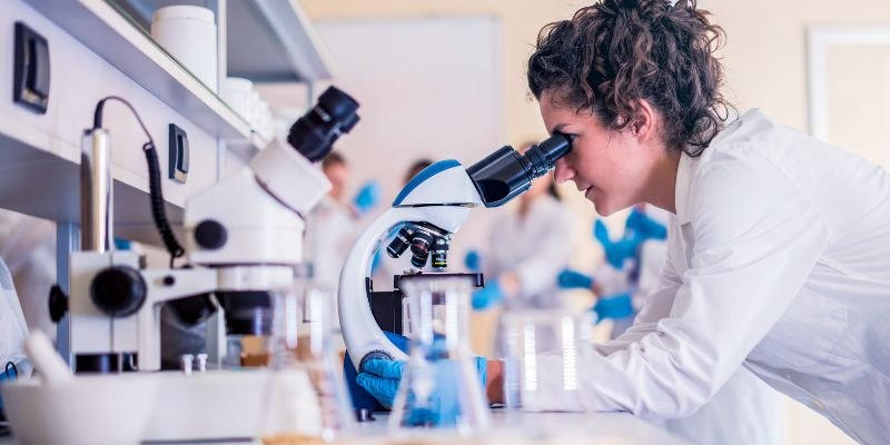 The Potential of DMSO and CBD in Cancer Treatment: A Research Review